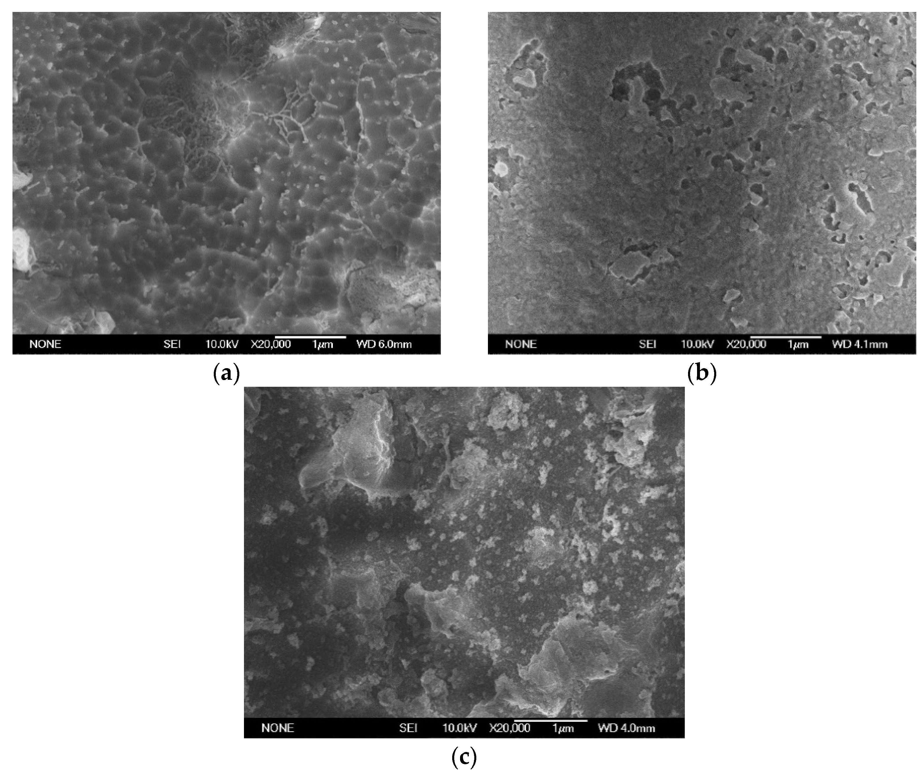 Polymers 14 00146 g015