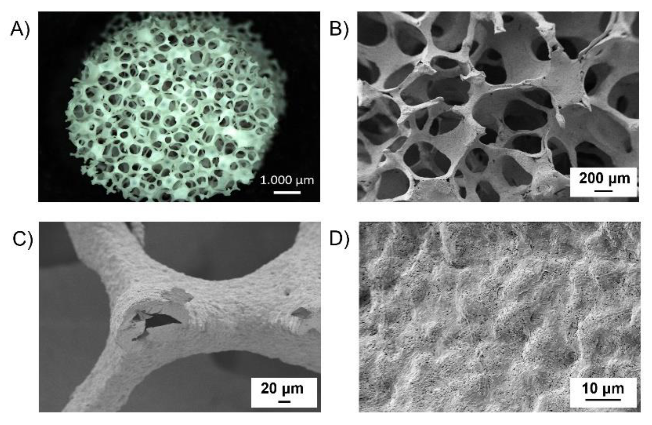 Polymers 14 00151 g004