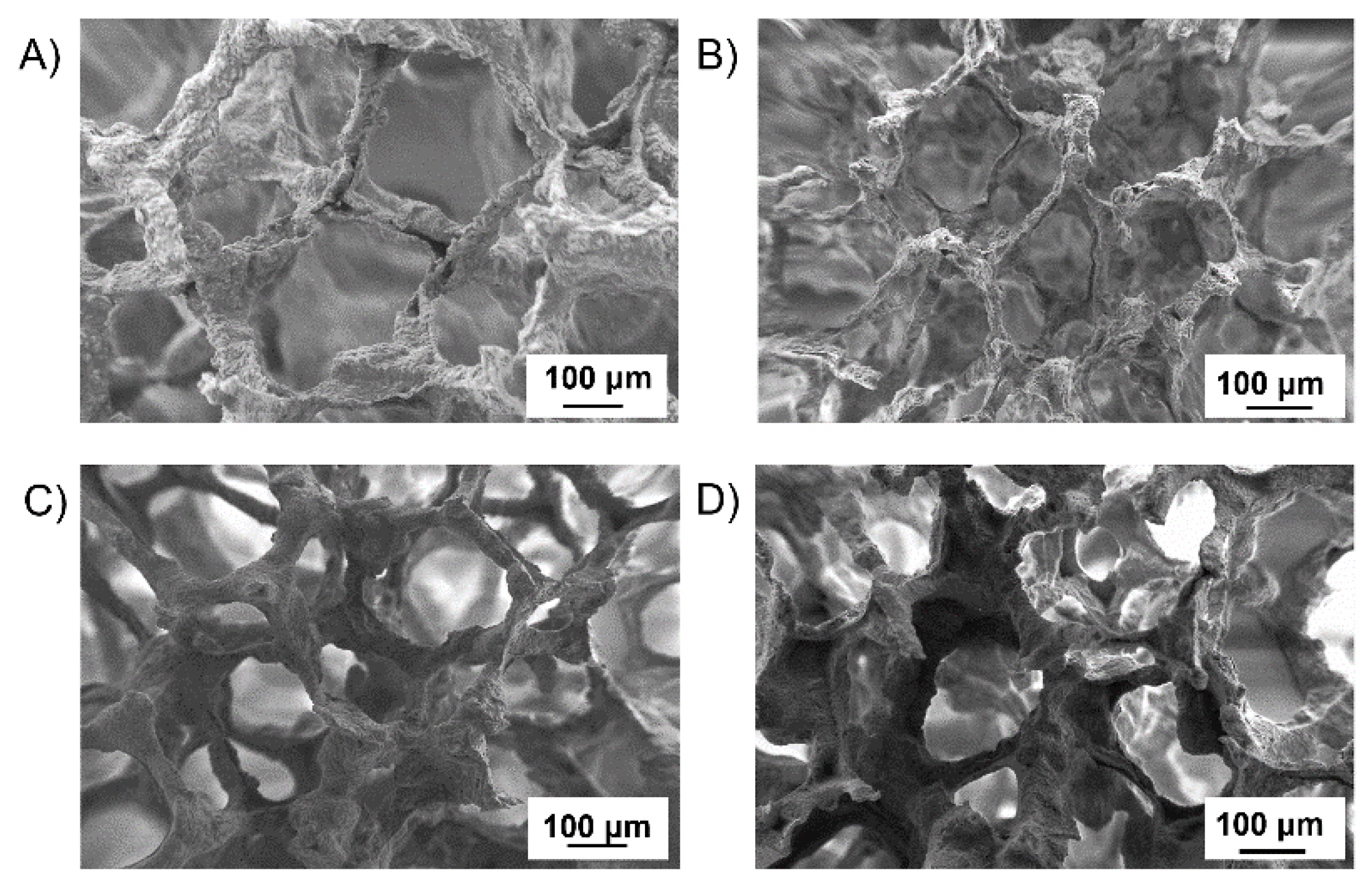 Polymers 14 00151 g005