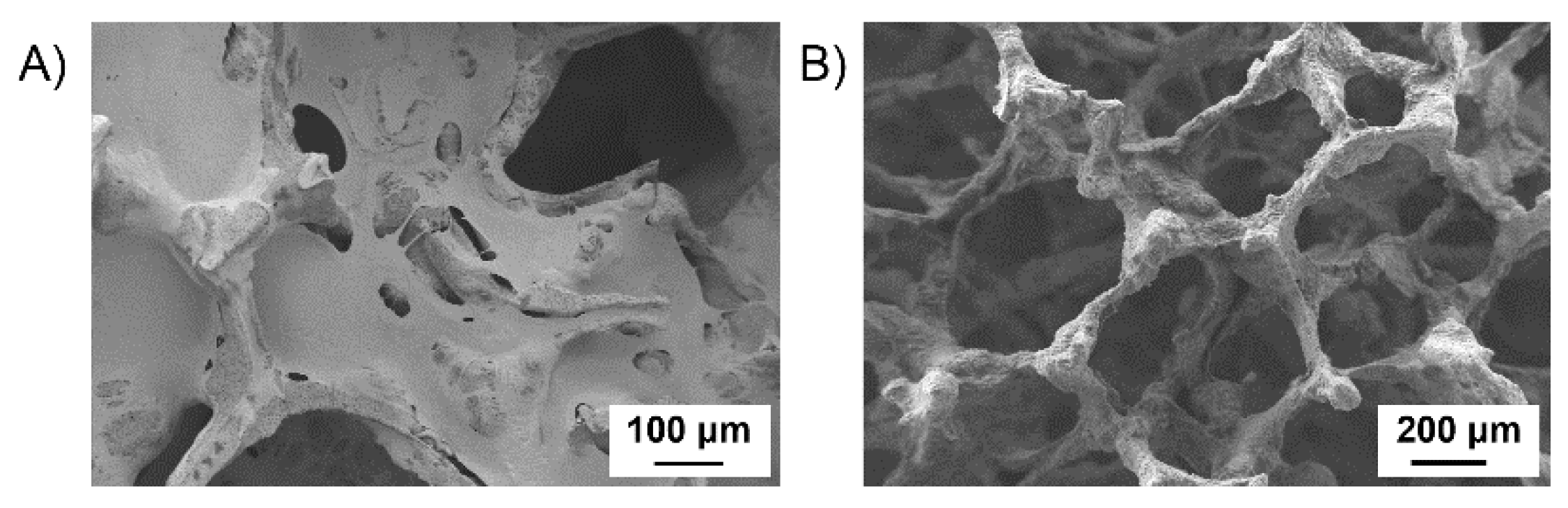 Polymers 14 00151 g006