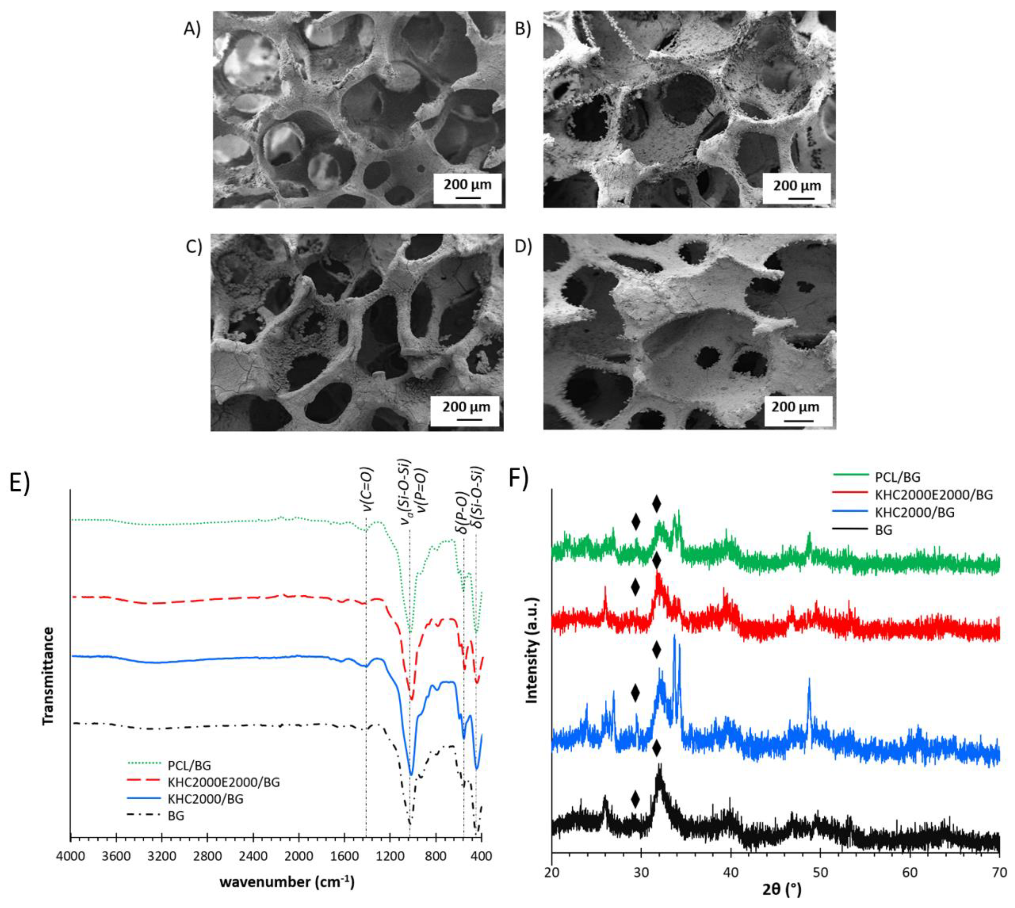 Polymers 14 00151 g009