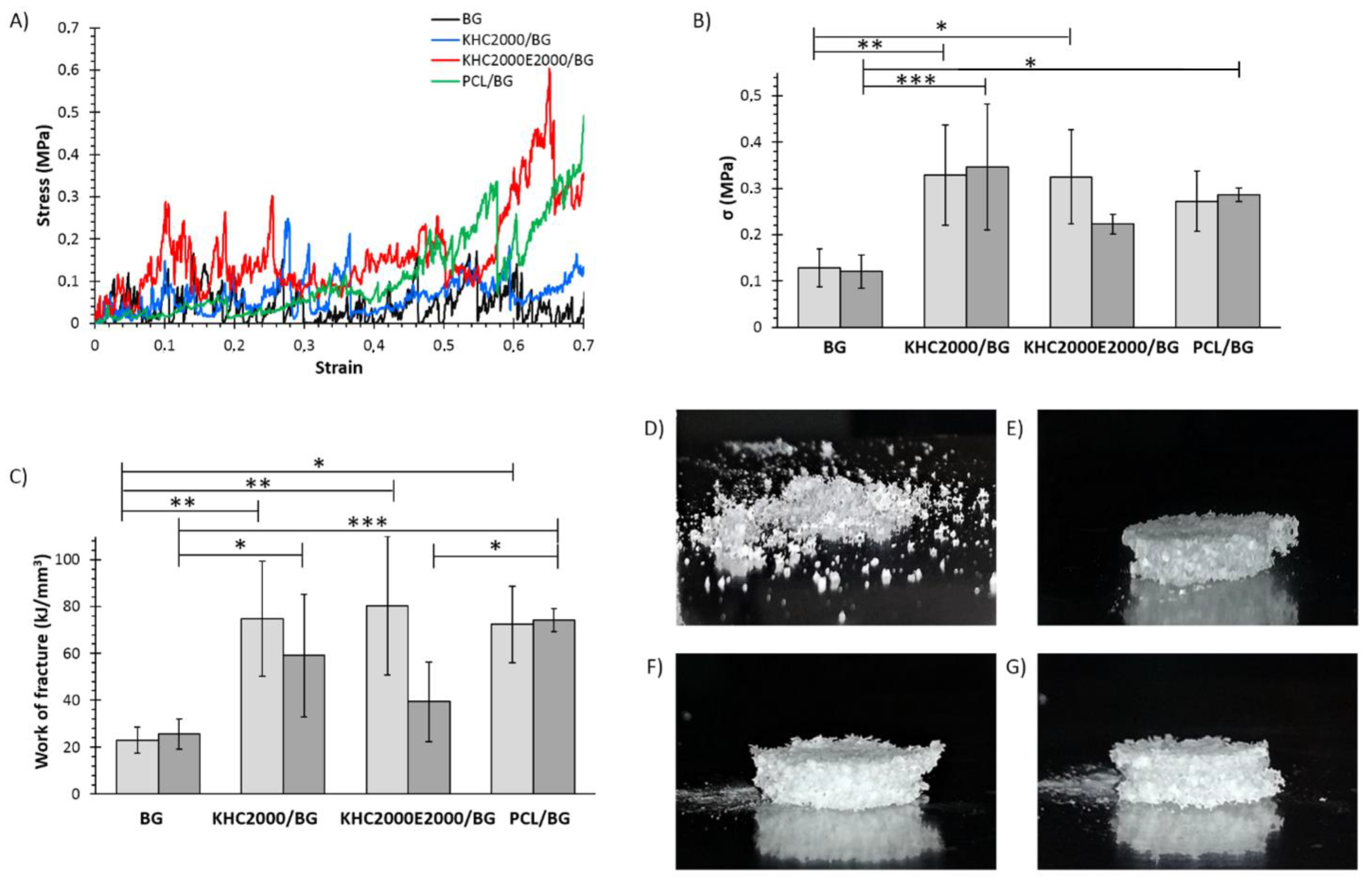 Polymers 14 00151 g011