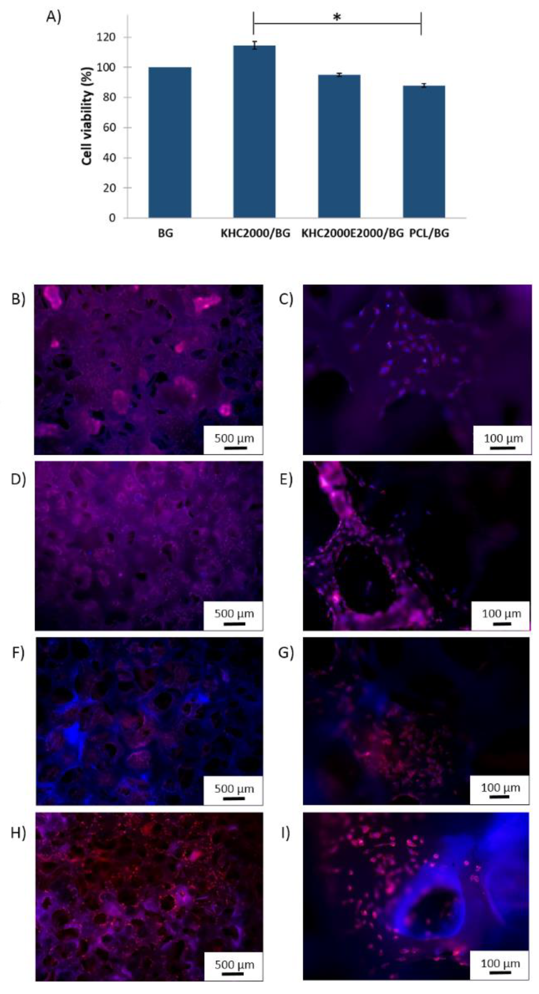 Polymers 14 00151 g014