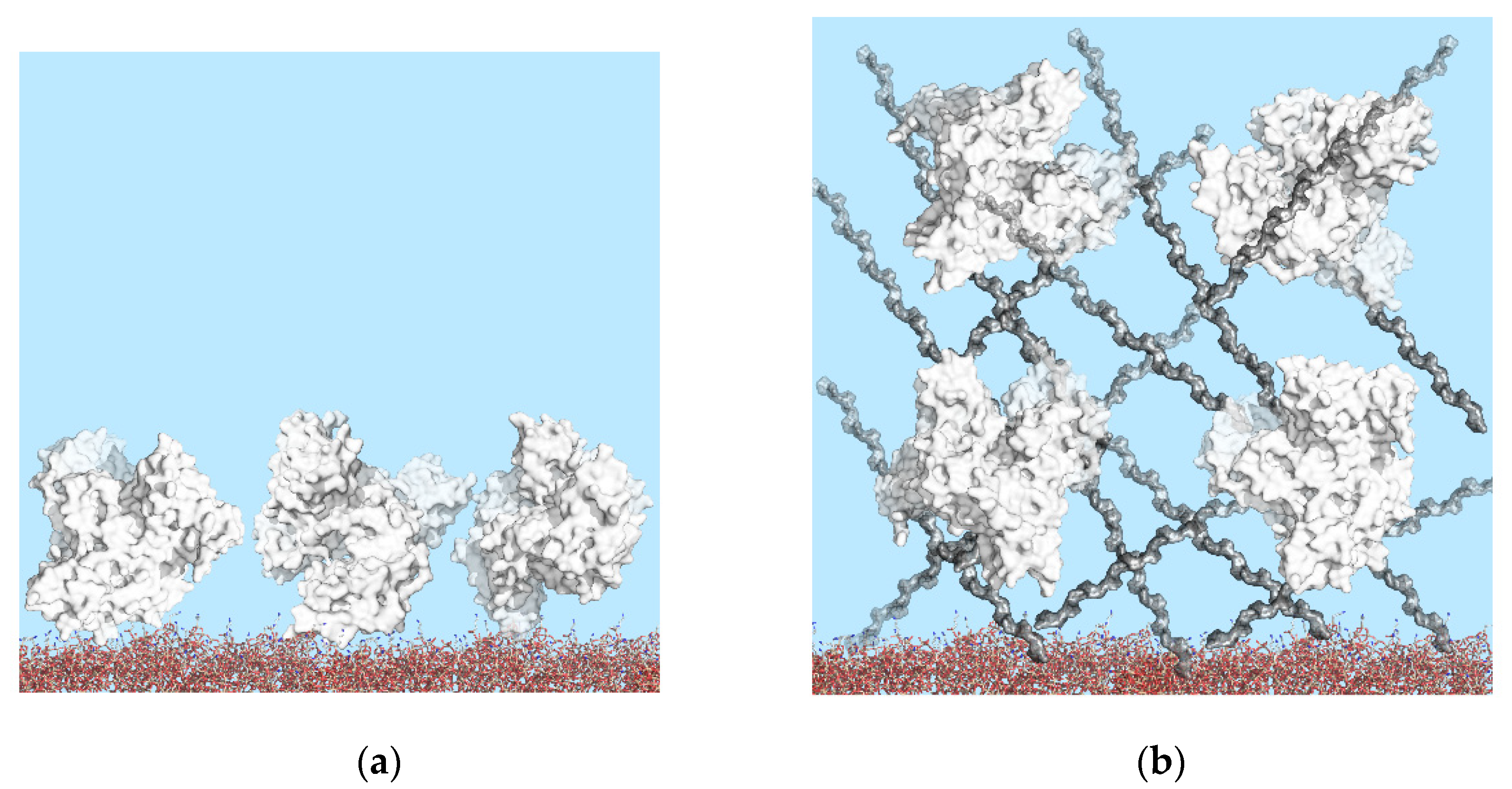 Polymers 14 00152 g002 Polymers 14 00152 g002