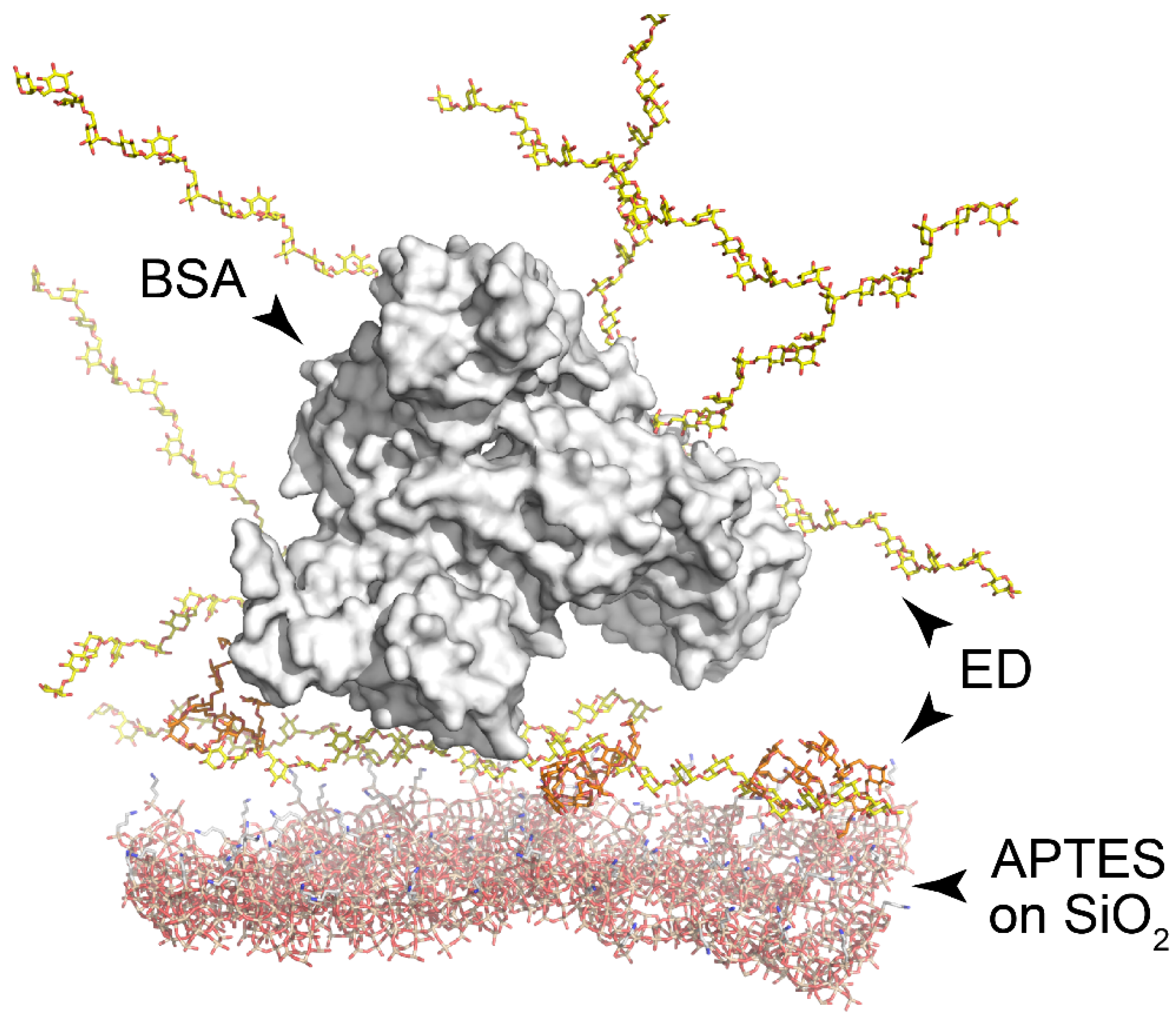 Polymers 14 00152 g003 Polymers 14 00152 g003