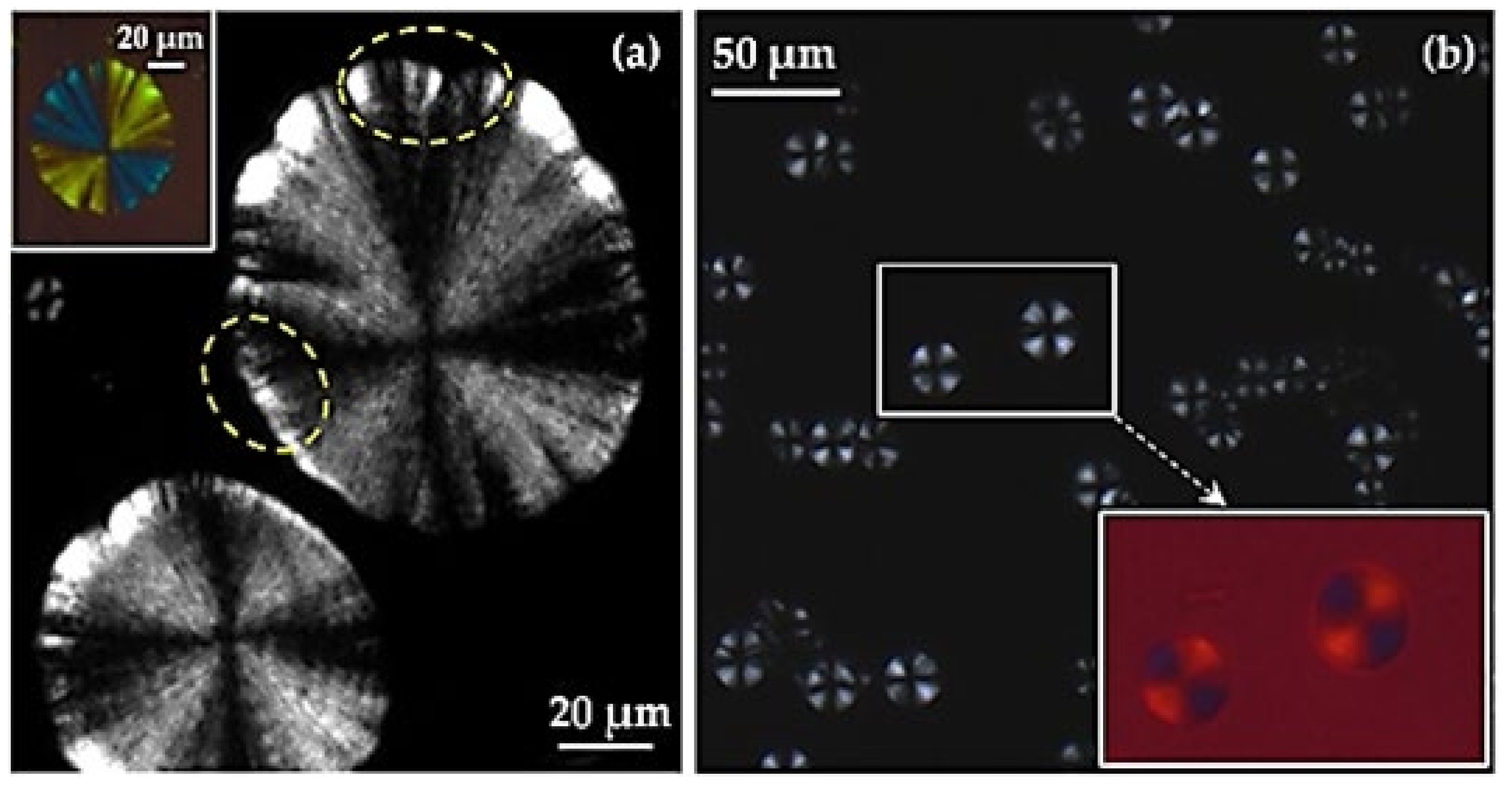 Polymers 14 00161 g005