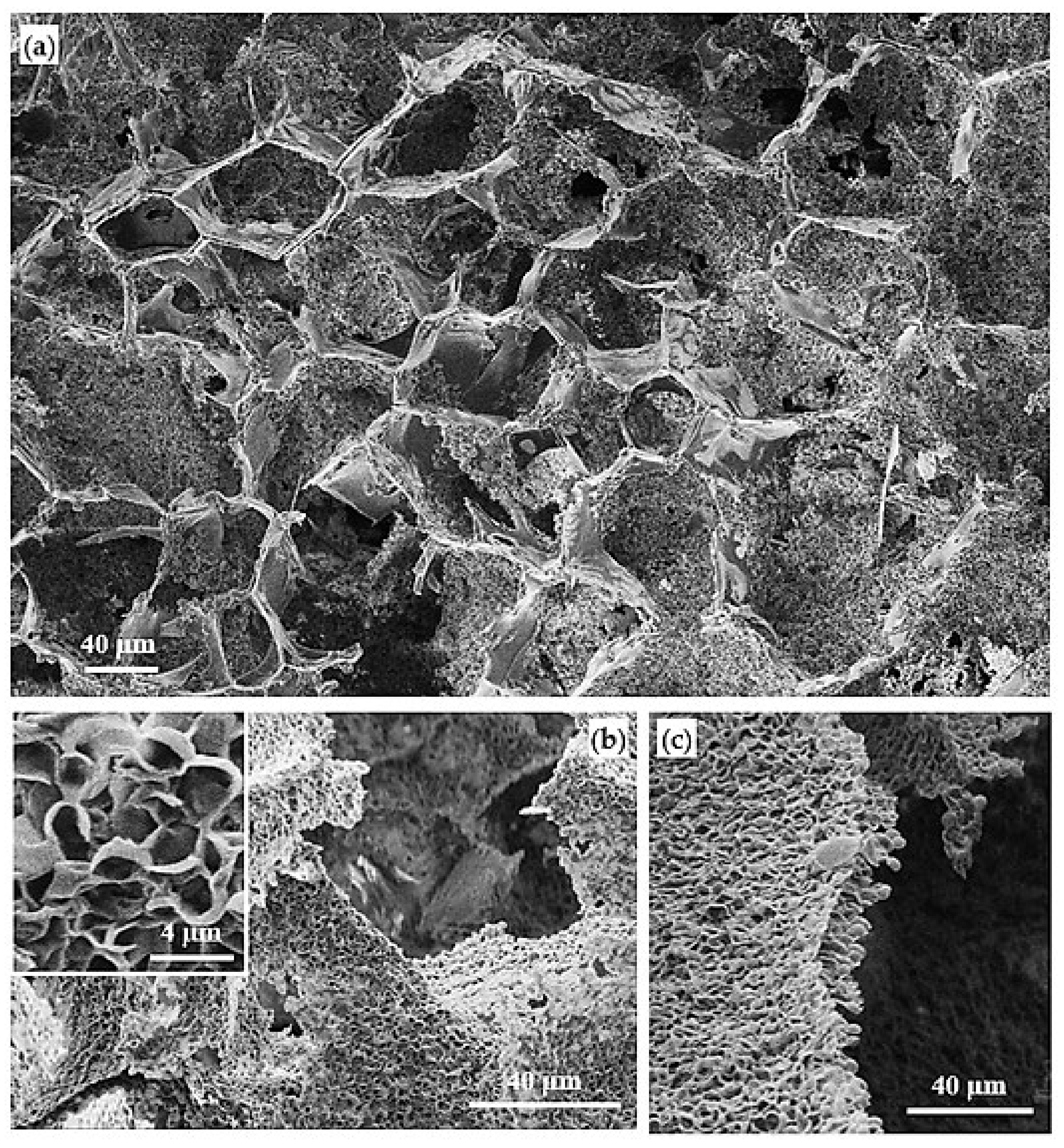 Polymers 14 00161 g014