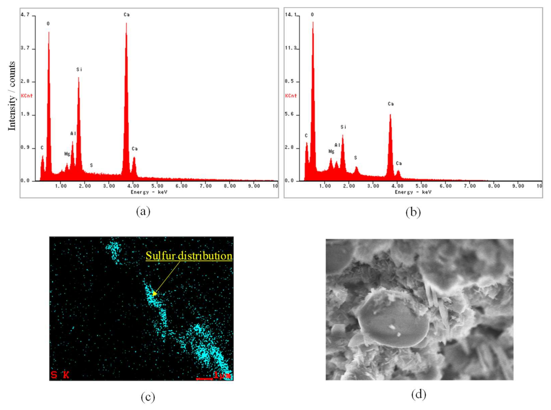 Polymers 14 00164 g010