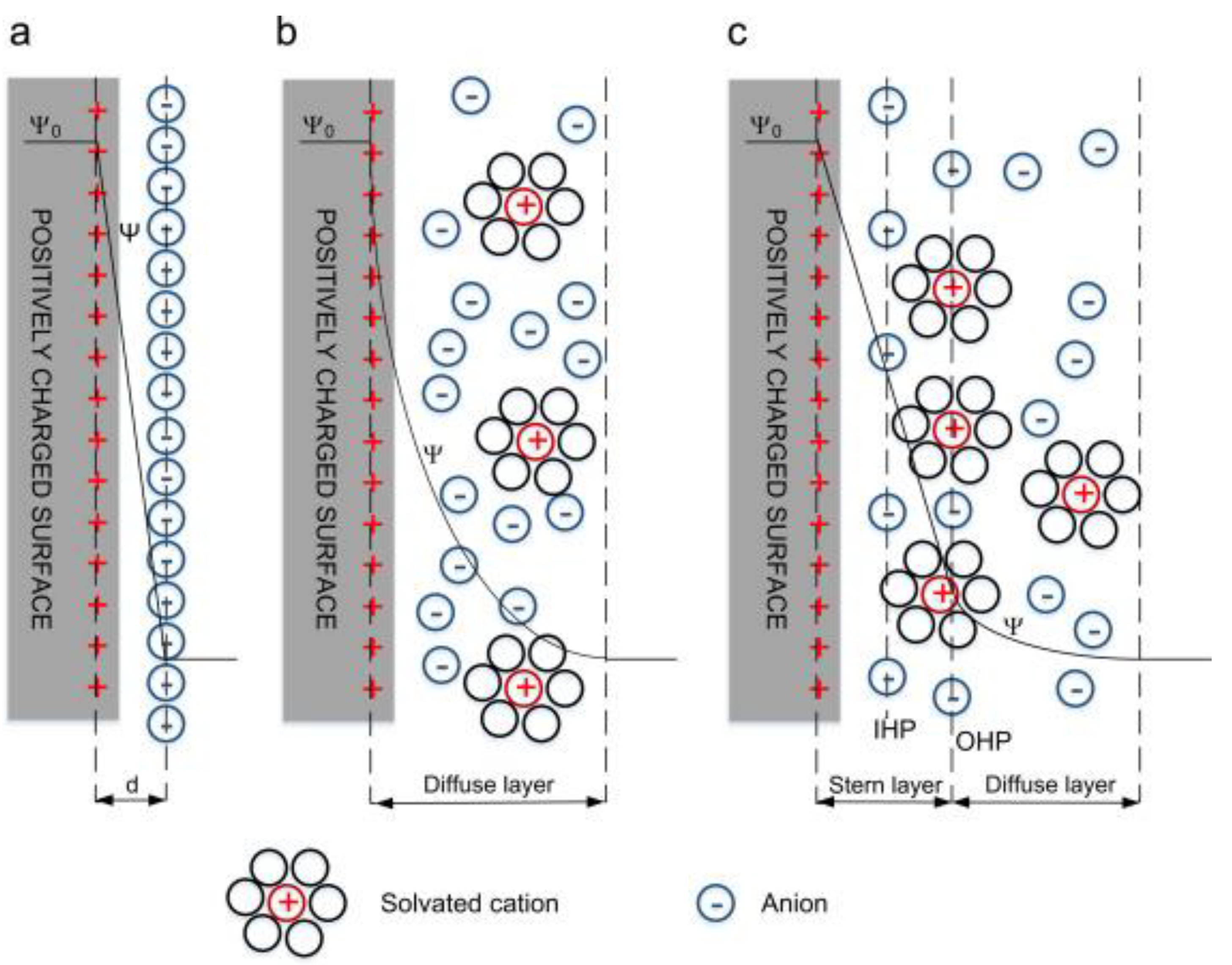 Polymers 14 00169 g003