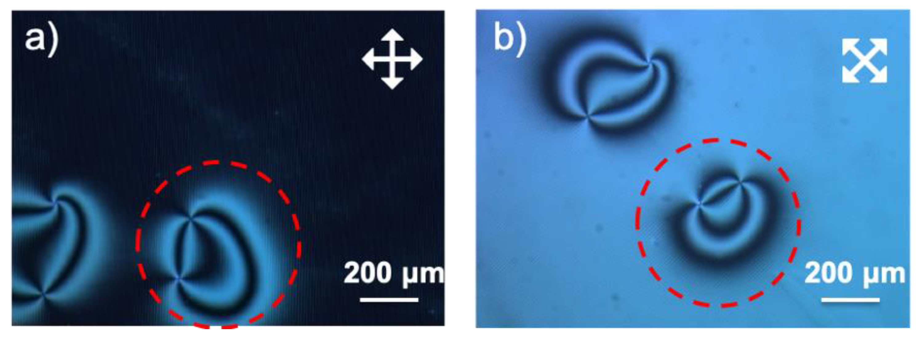 Polymers 14 00171 g0a3