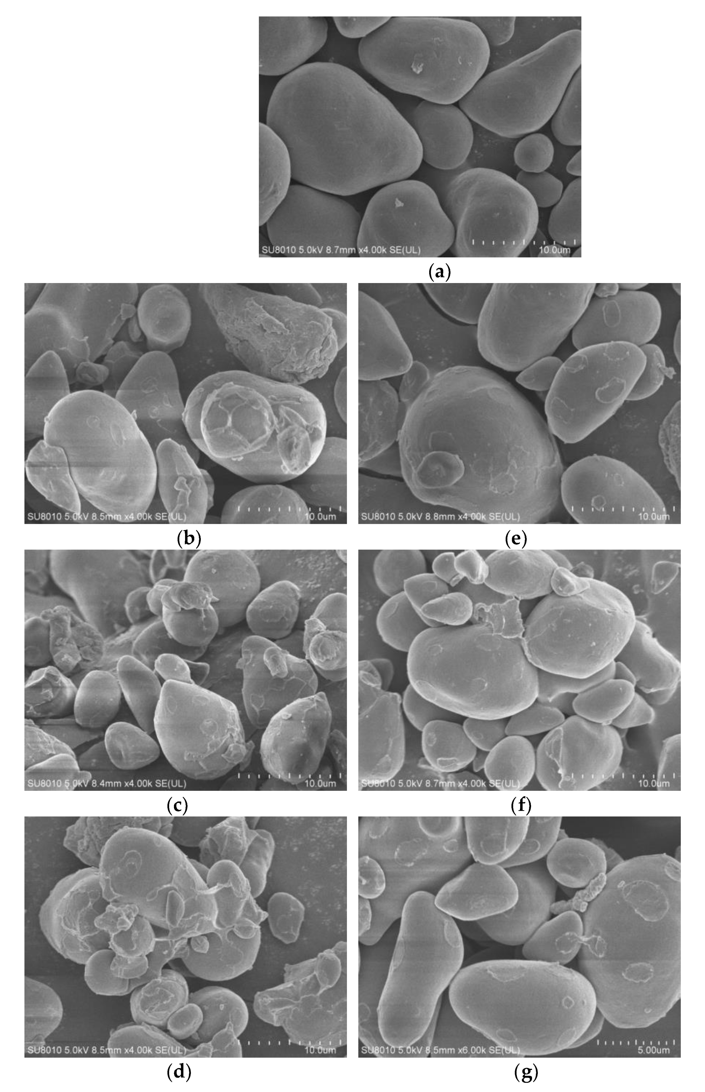 Polymers 14 00172 g001