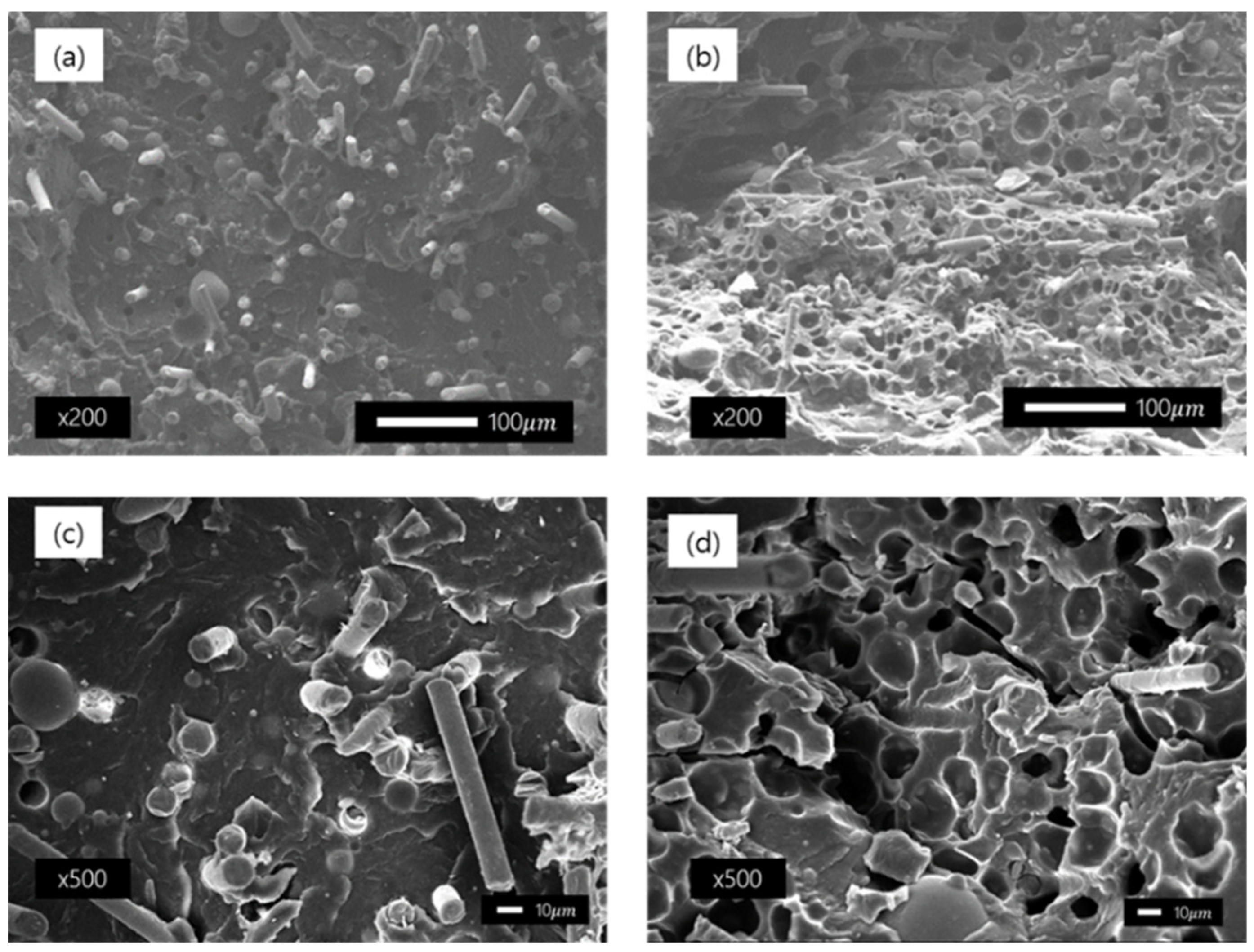 Polymers 14 00173 g020