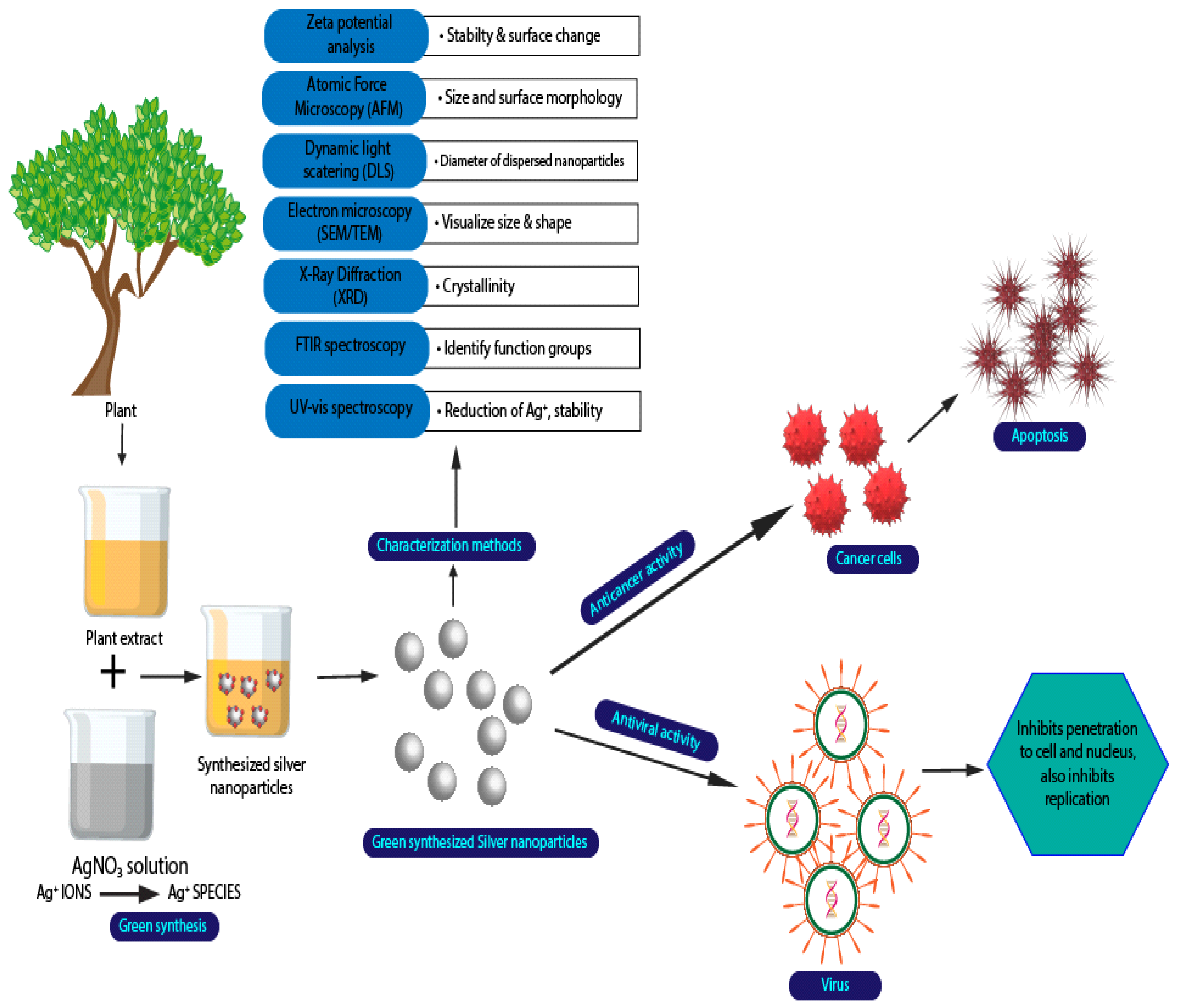 Polymers 14 00174 g004 Polymers 14 00174 g004