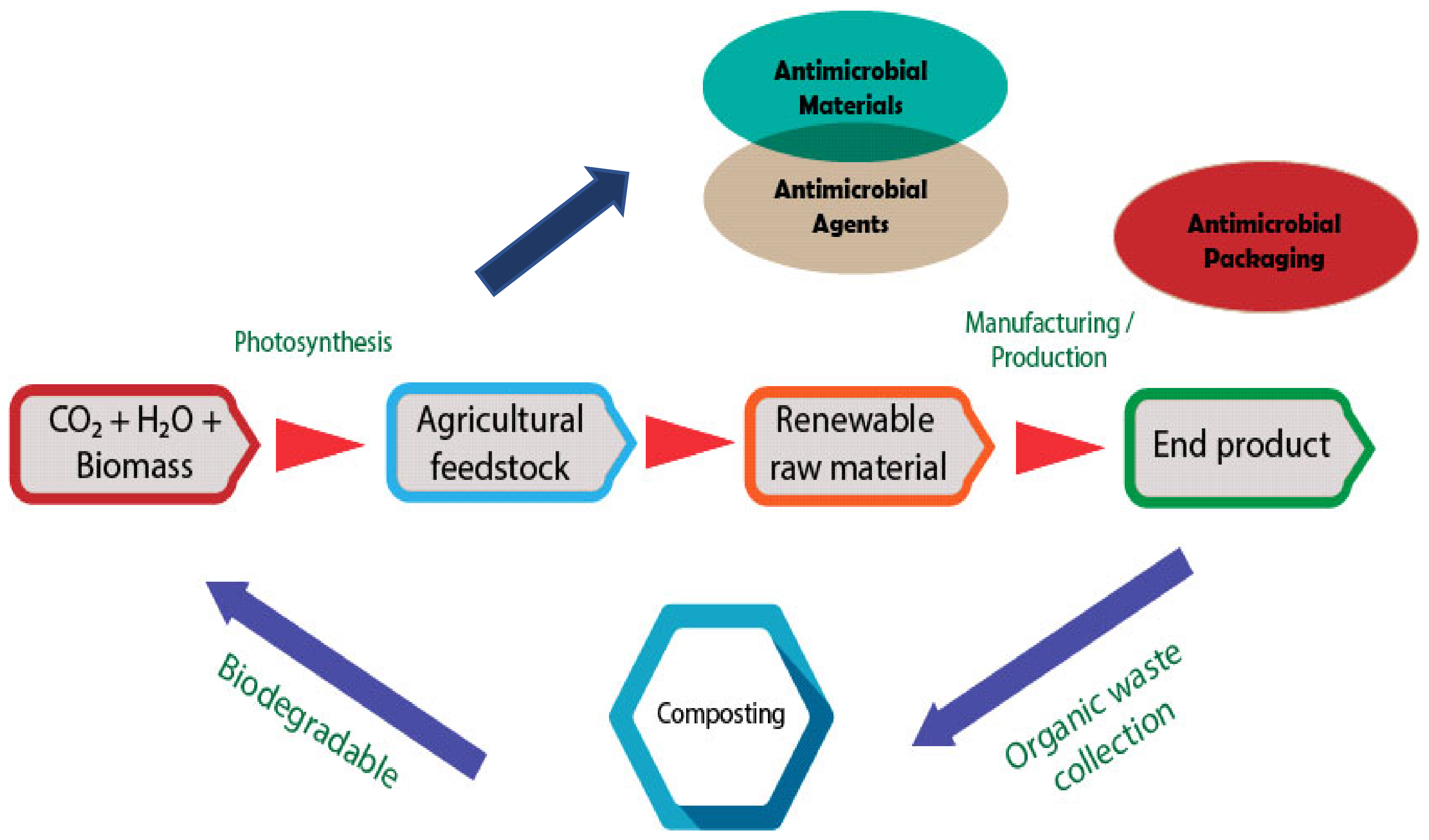 Polymers 14 00174 g008 Polymers 14 00174 g008