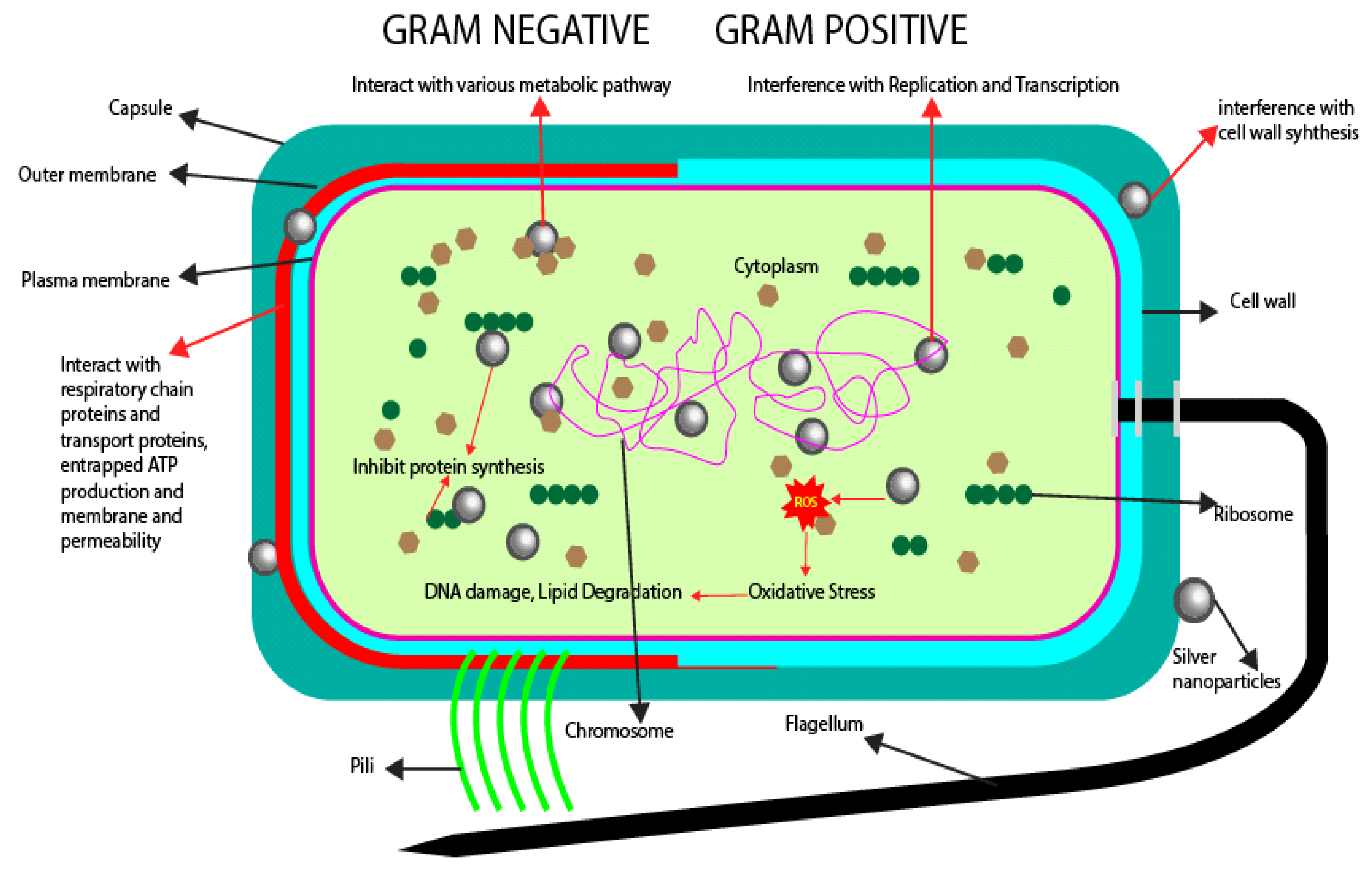 Polymers 14 00174 g009 Polymers 14 00174 g009