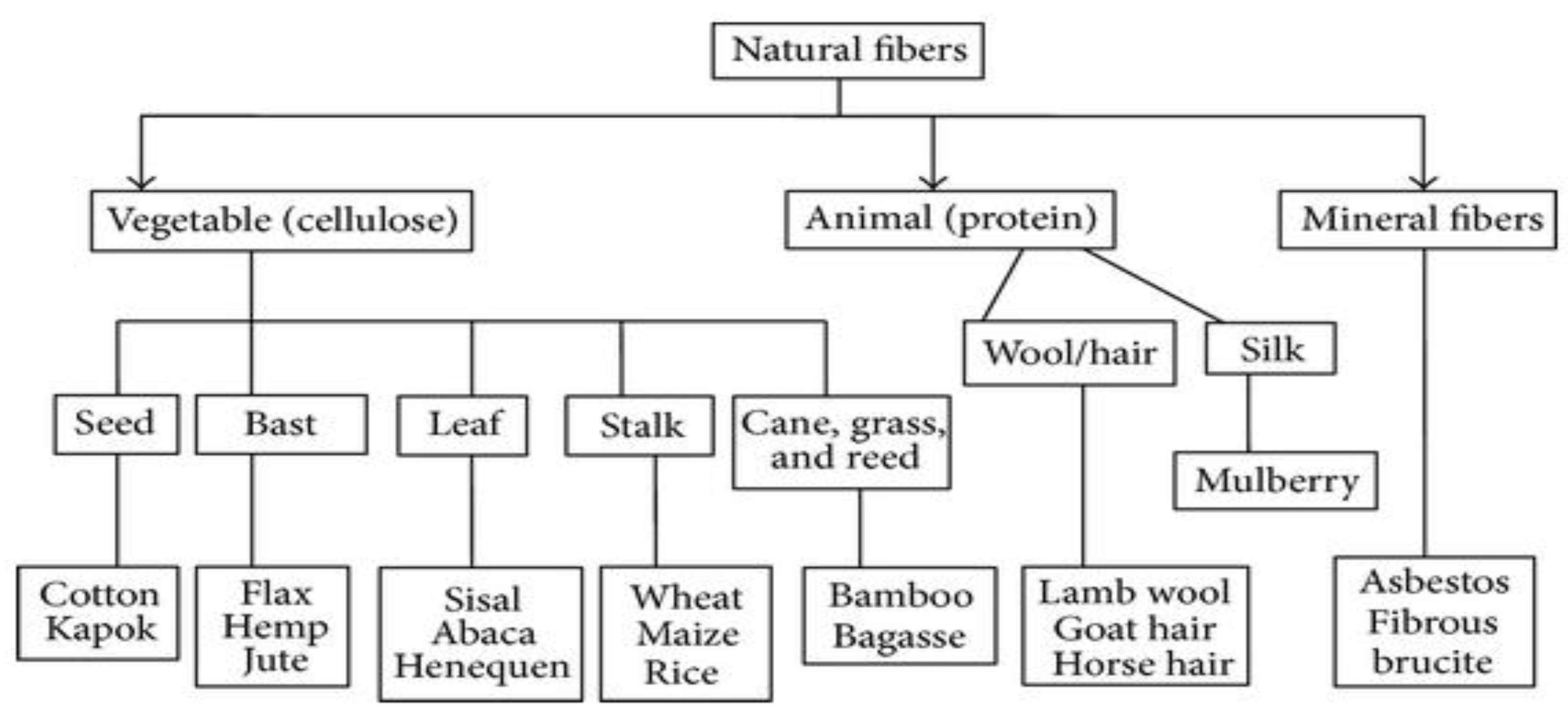 Polymers 14 00182 g002