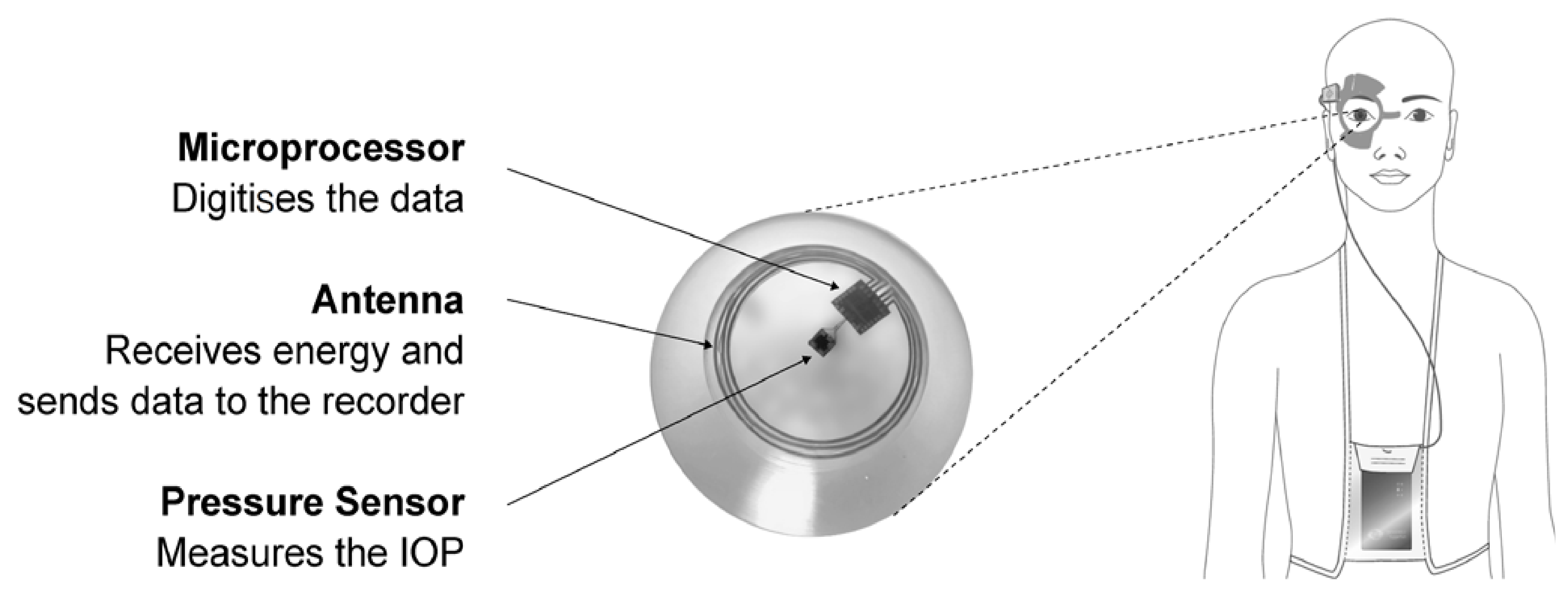 Polymers 14 00185 g001