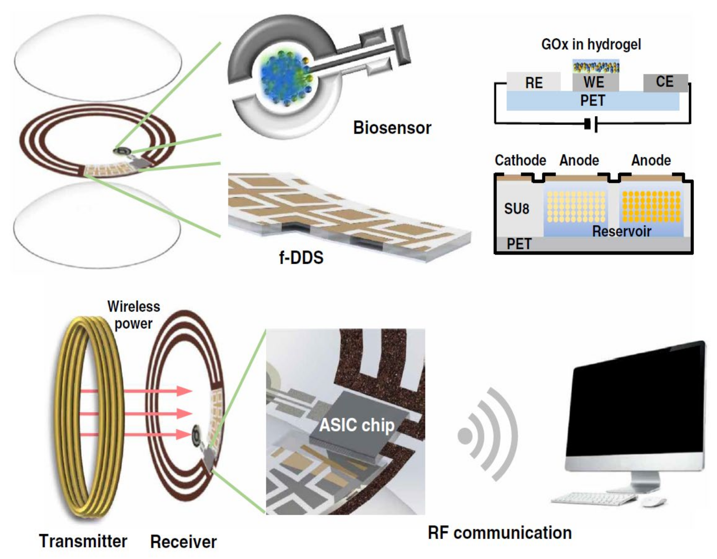 Polymers 14 00185 g002