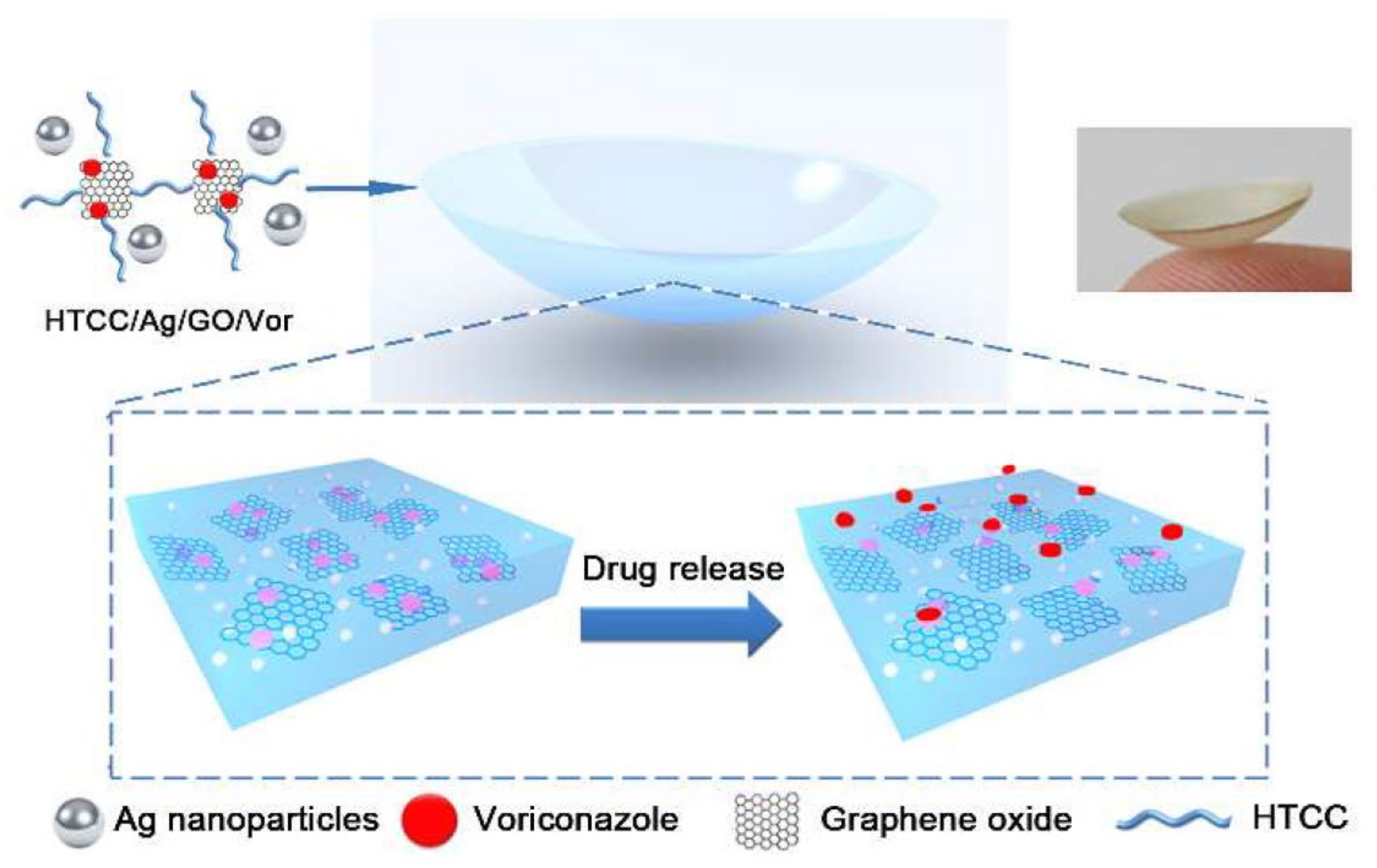 Polymers 14 00185 g004