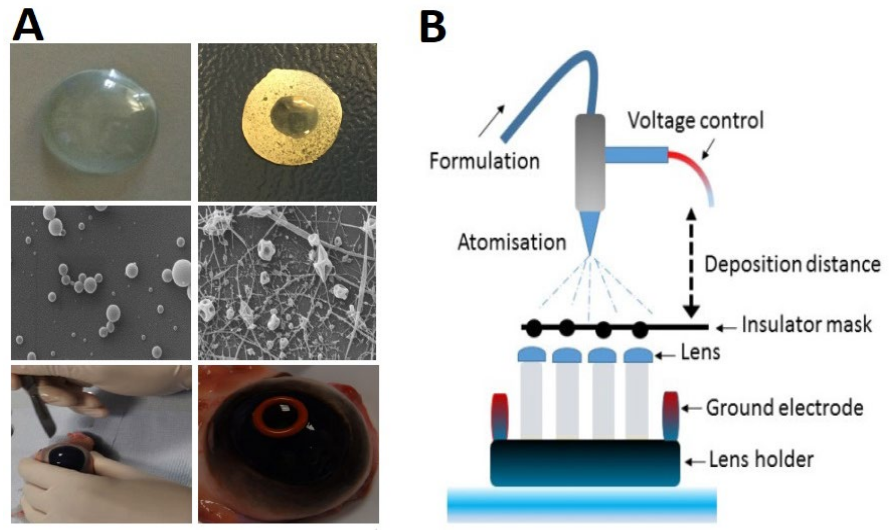 Polymers 14 00185 g006