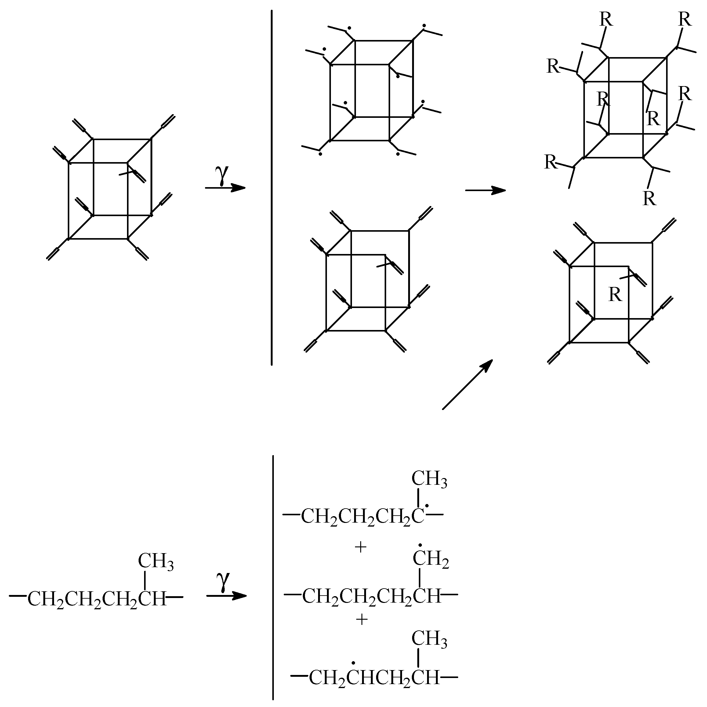 Polymers 14 00187 g001