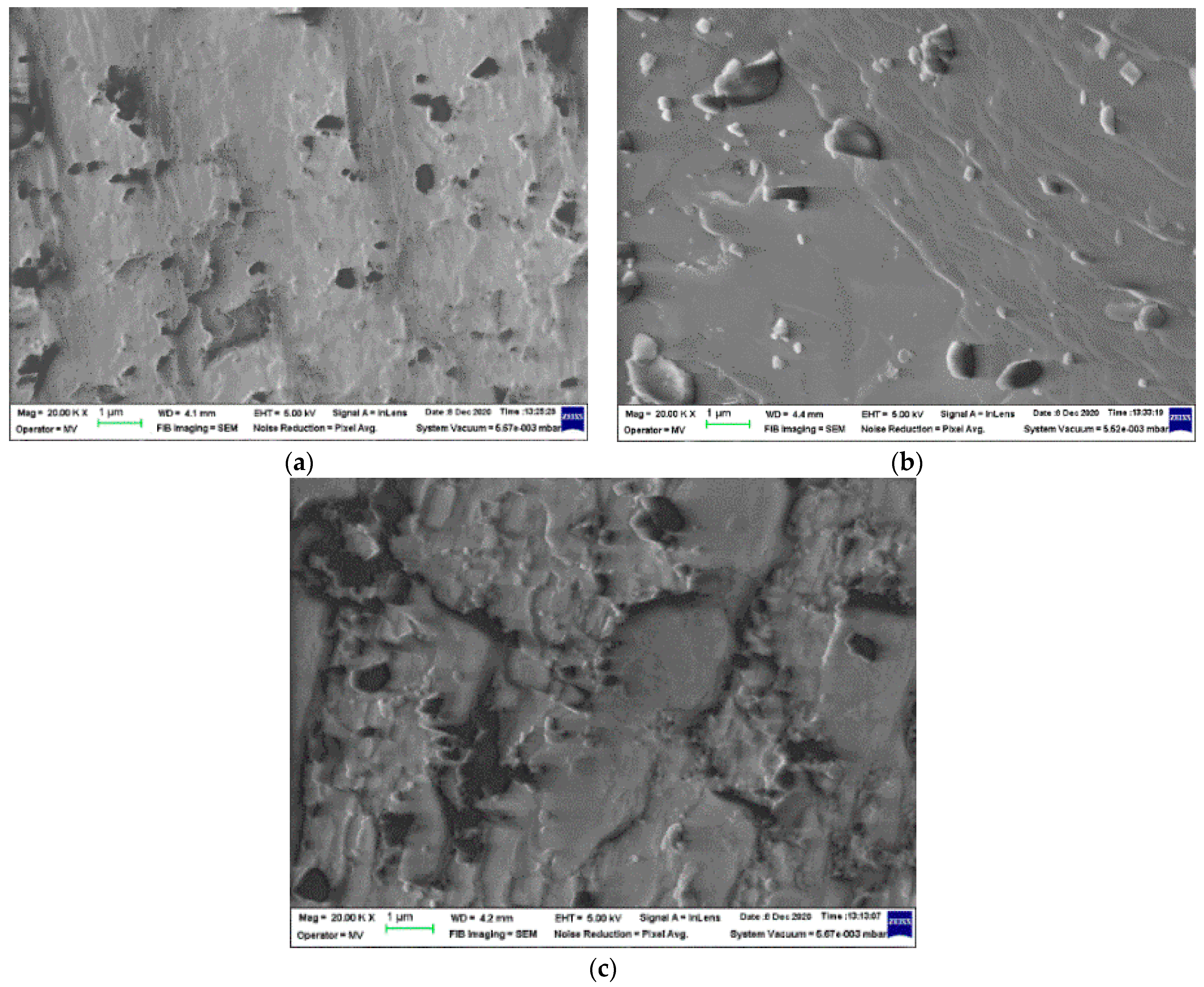 Polymers 14 00187 g003