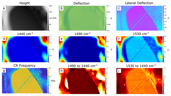 Polymers 14 00192 g0a2 550