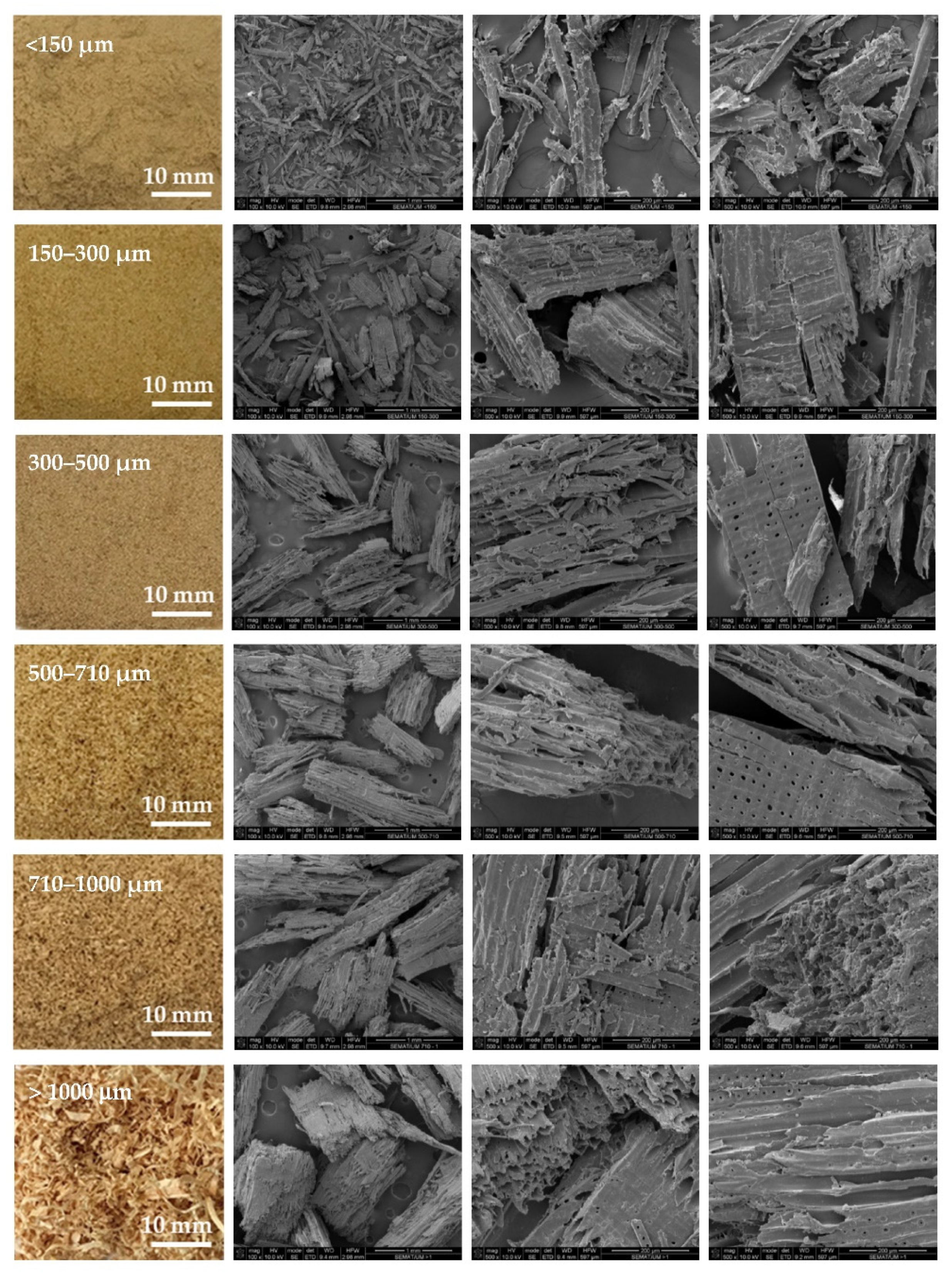 Polymers 14 00193 g003