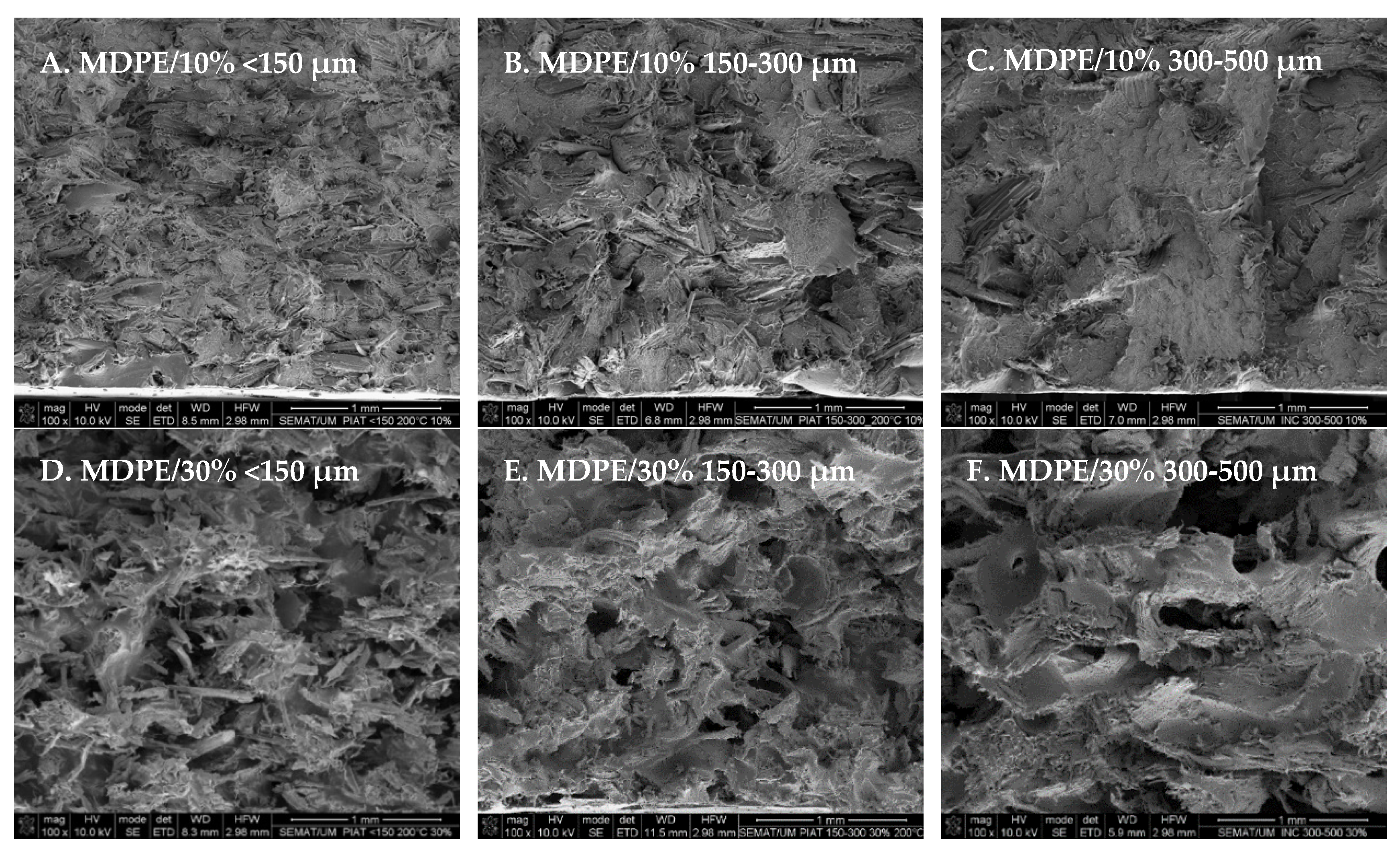 Polymers 14 00193 g009