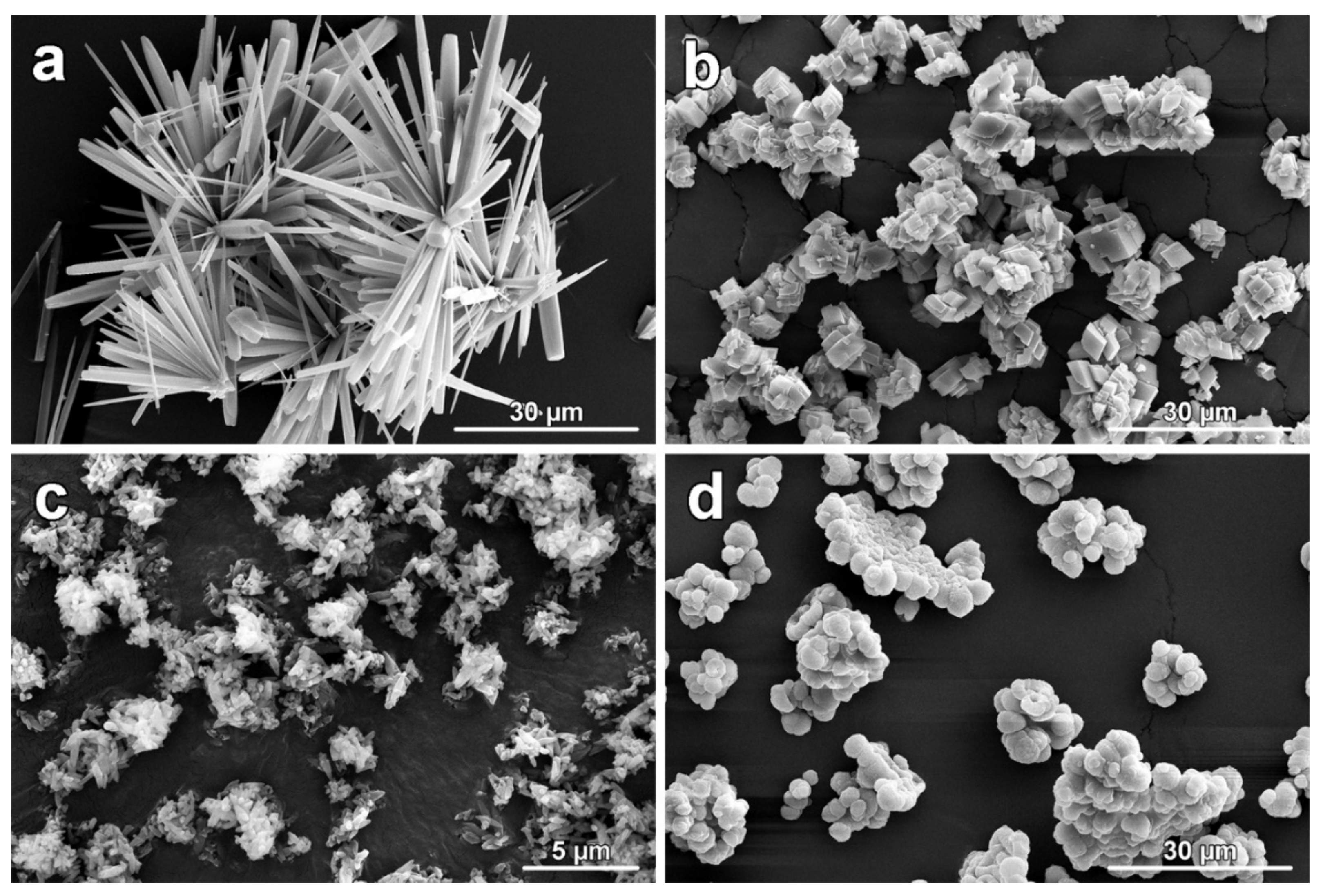 Polymers 14 00199 g001