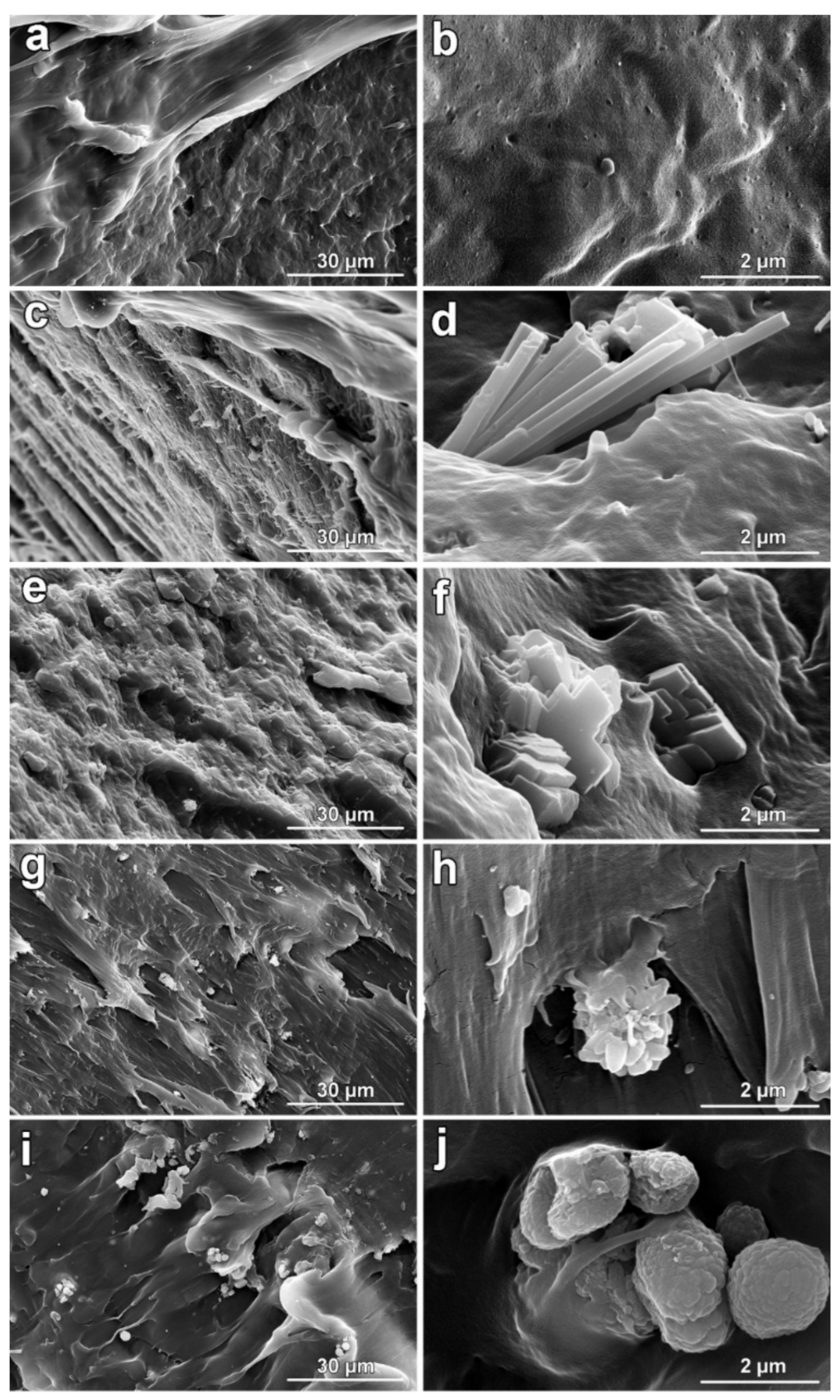 Polymers 14 00199 g005