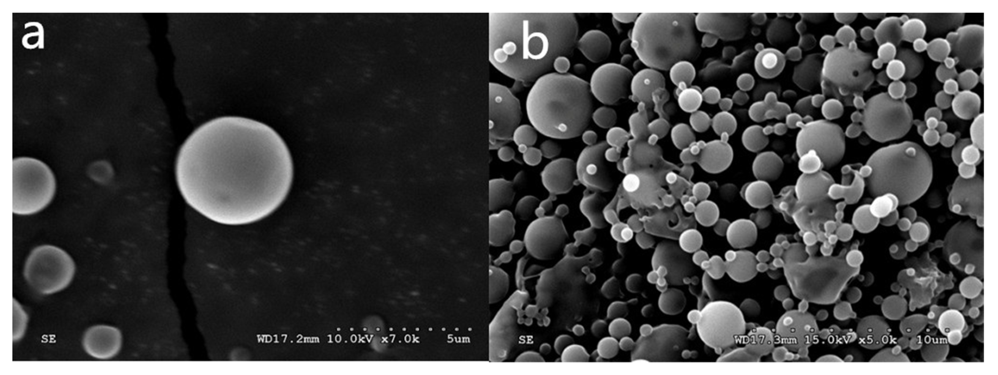Polymers 14 00208 g001