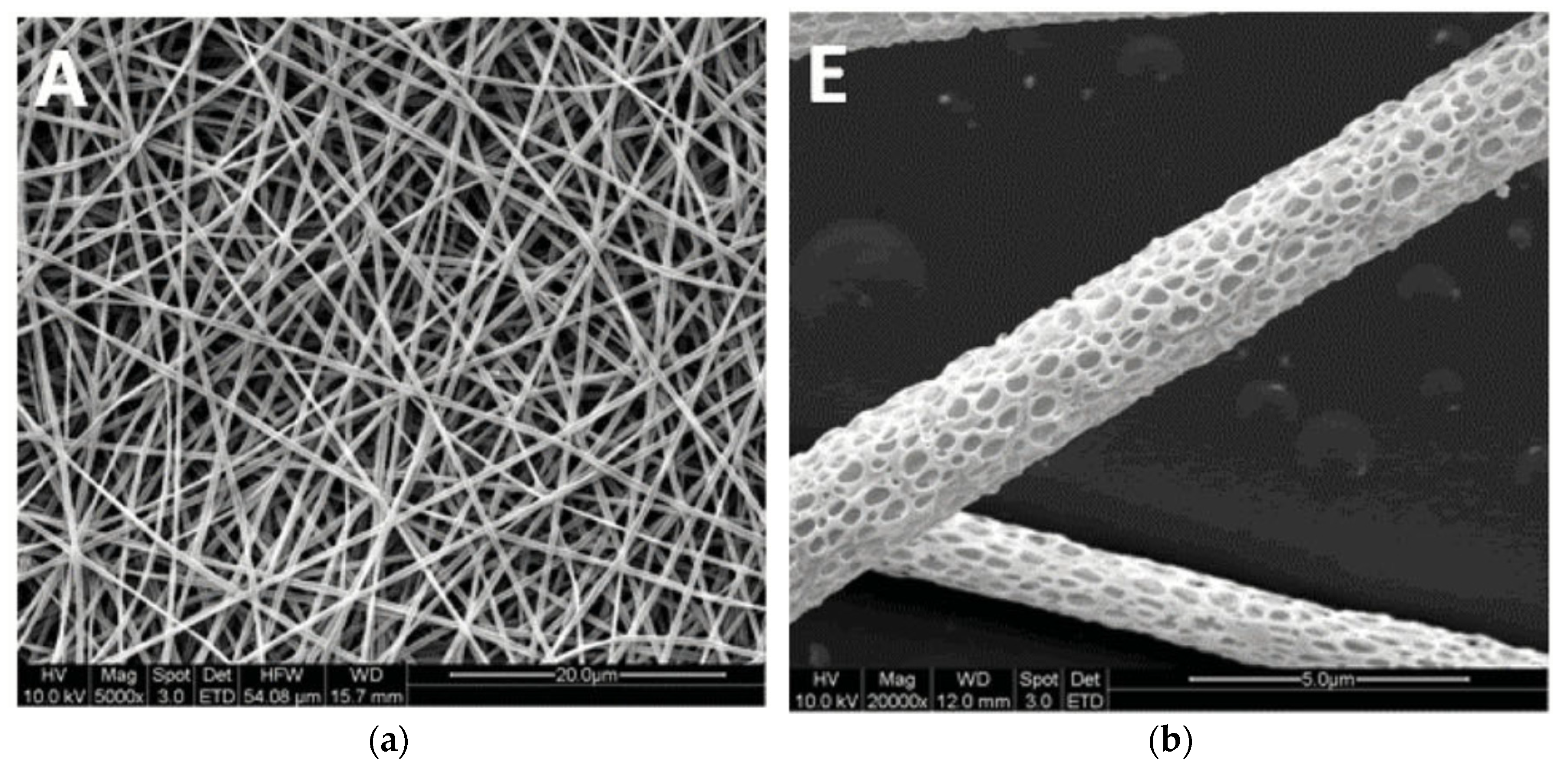 Polymers 14 00209 g004