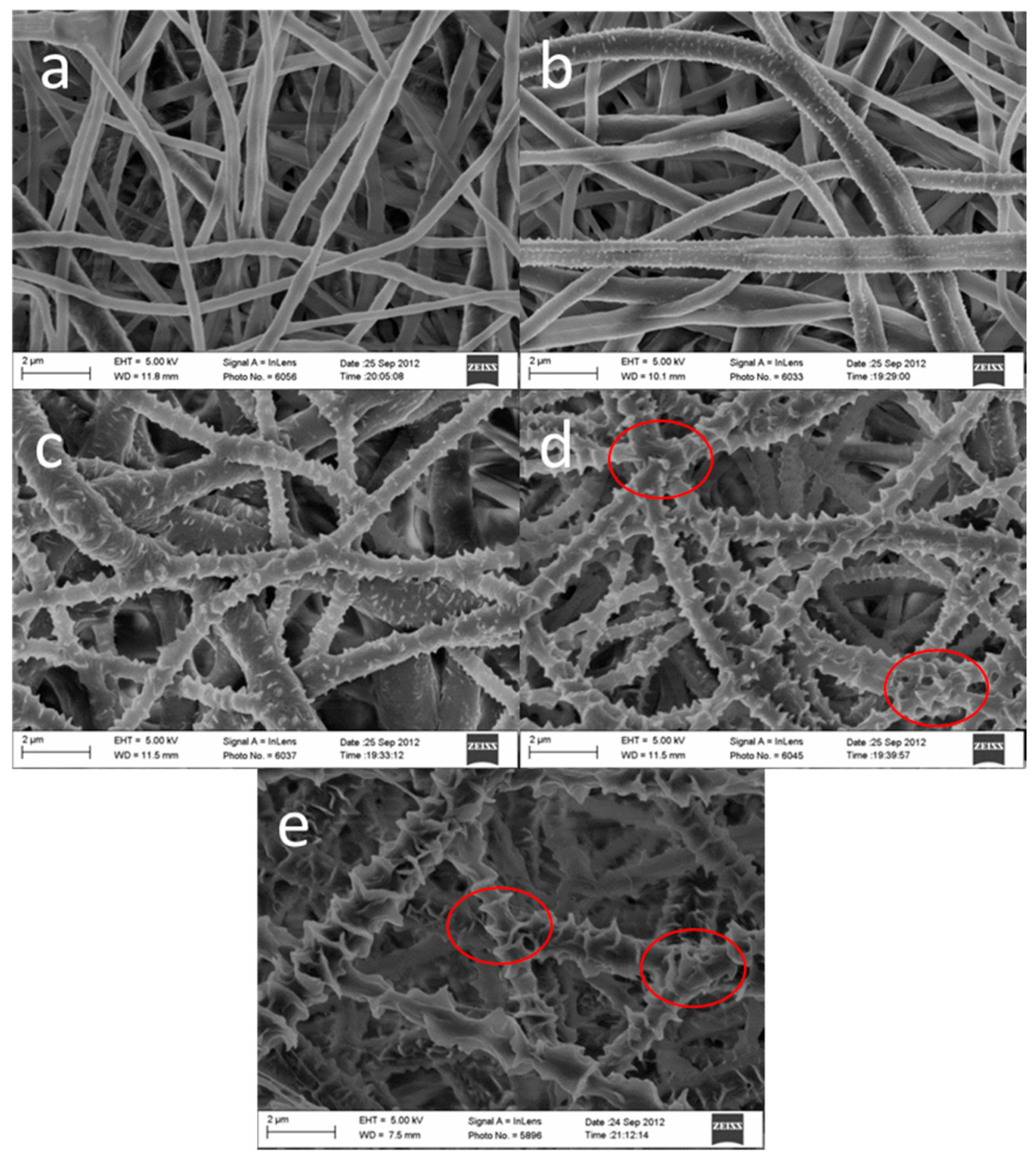 Polymers 14 00209 g005