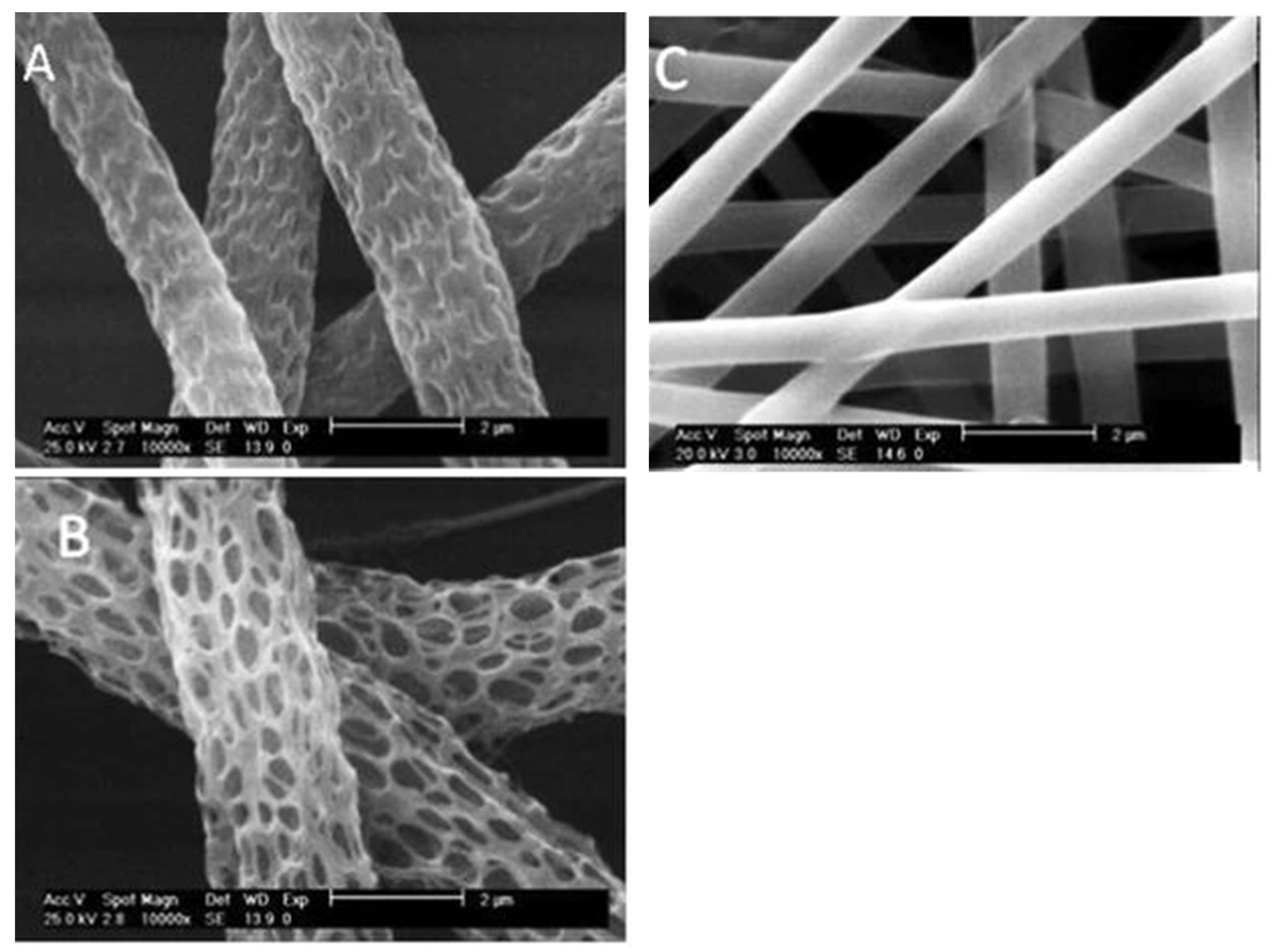 Polymers 14 00209 g006