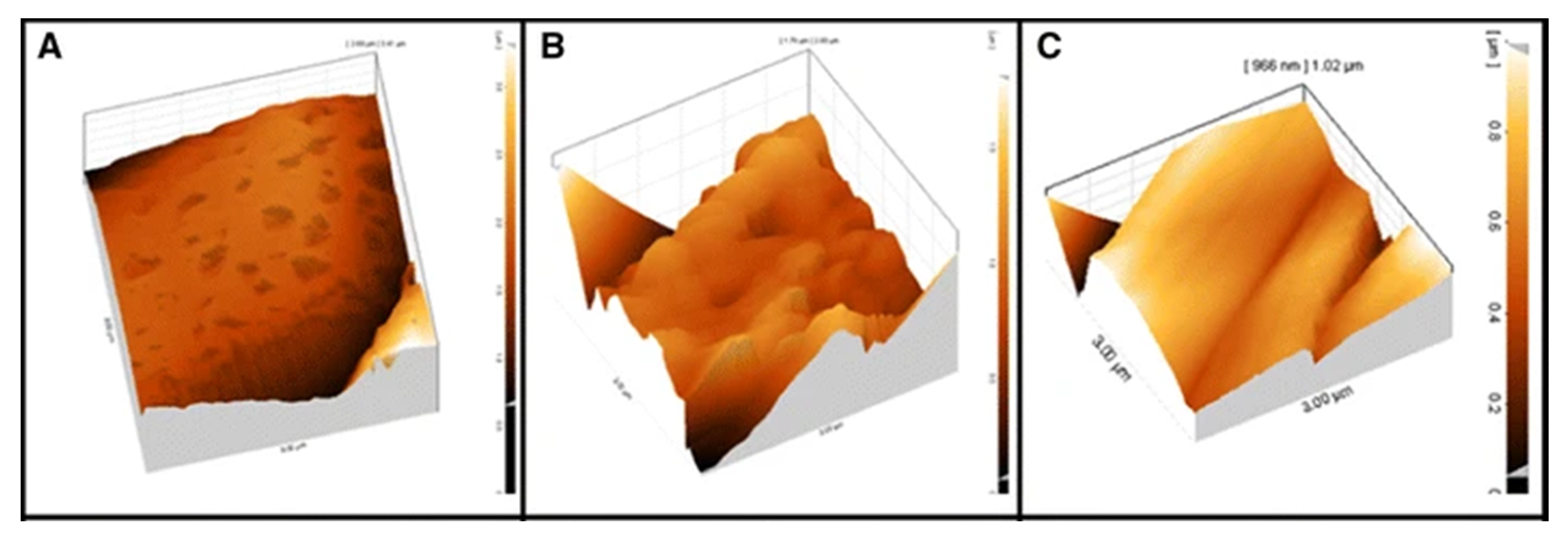 Polymers 14 00209 g007