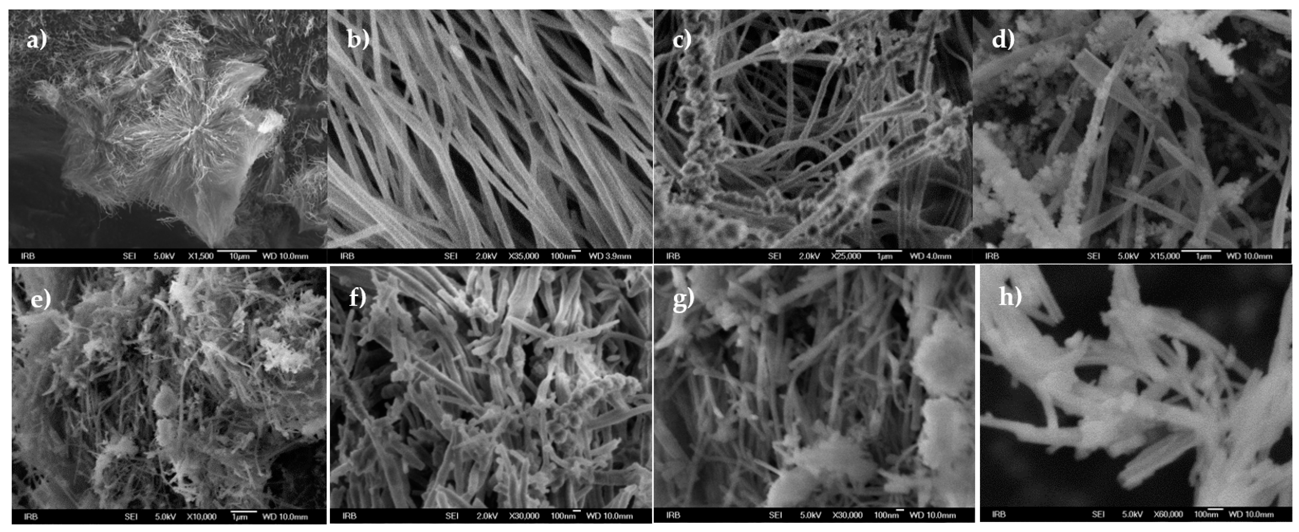 Polymers 14 00214 g010