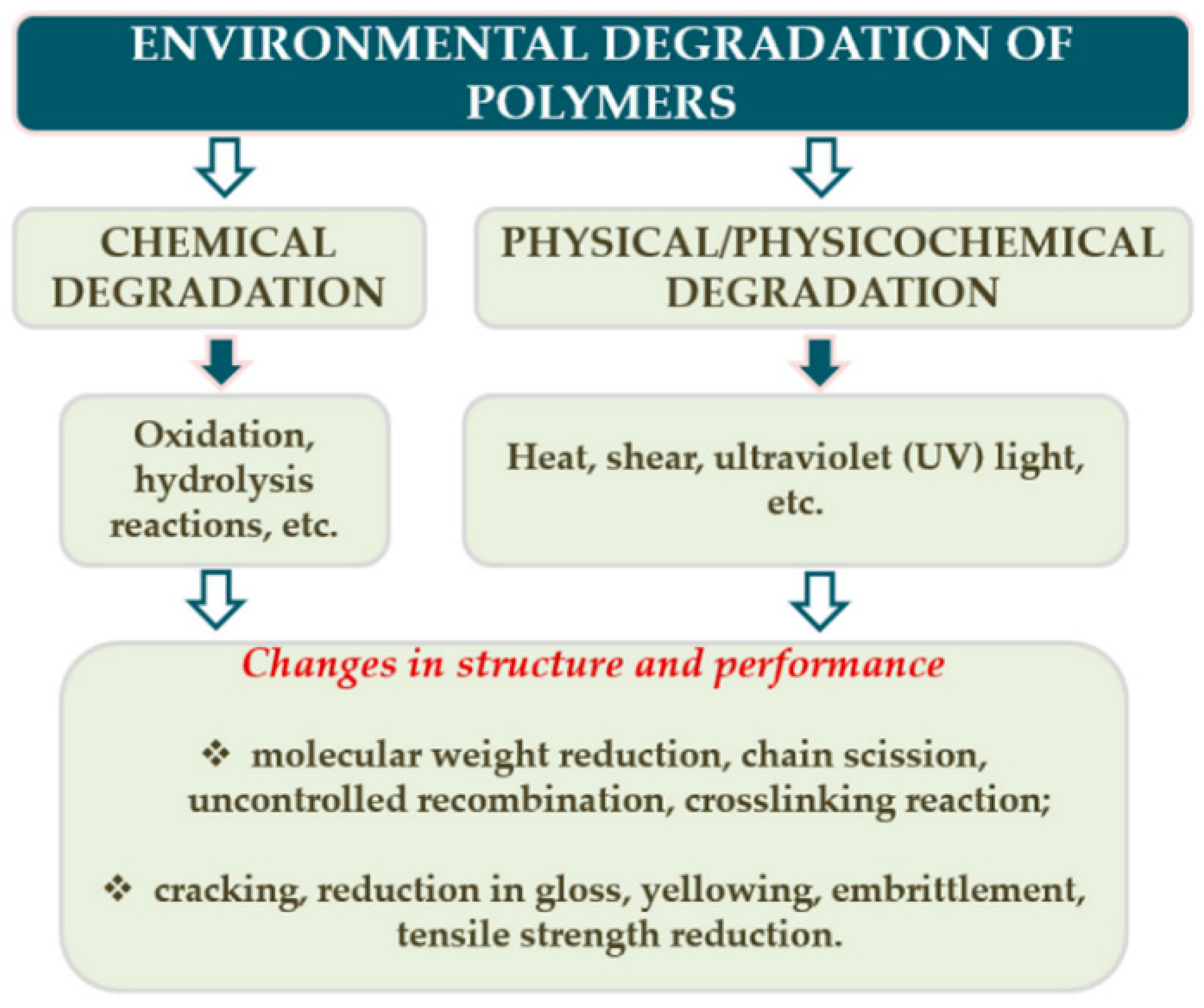 Polymers 14 00216 g002
