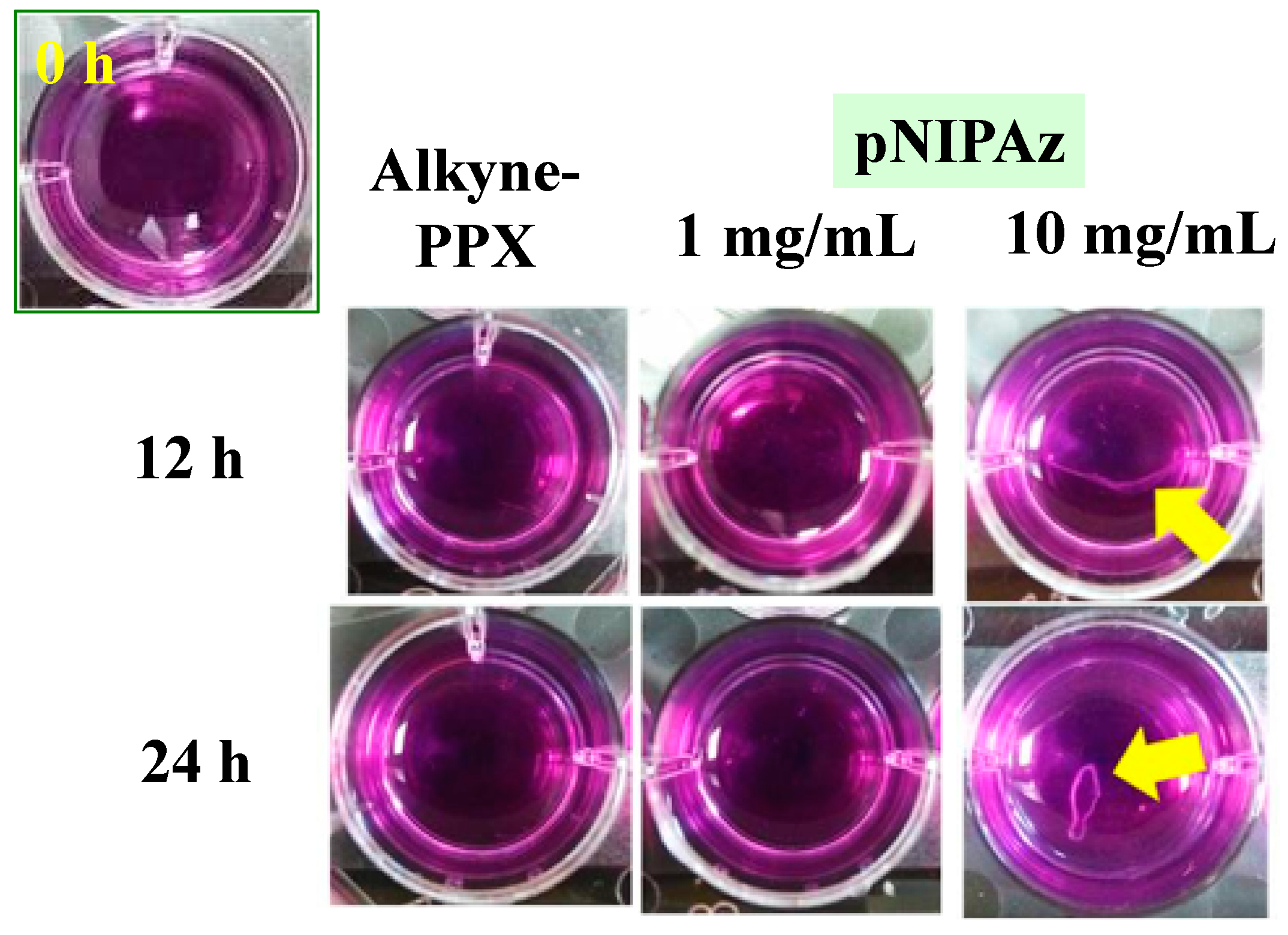 Polymers 14 00225 g005