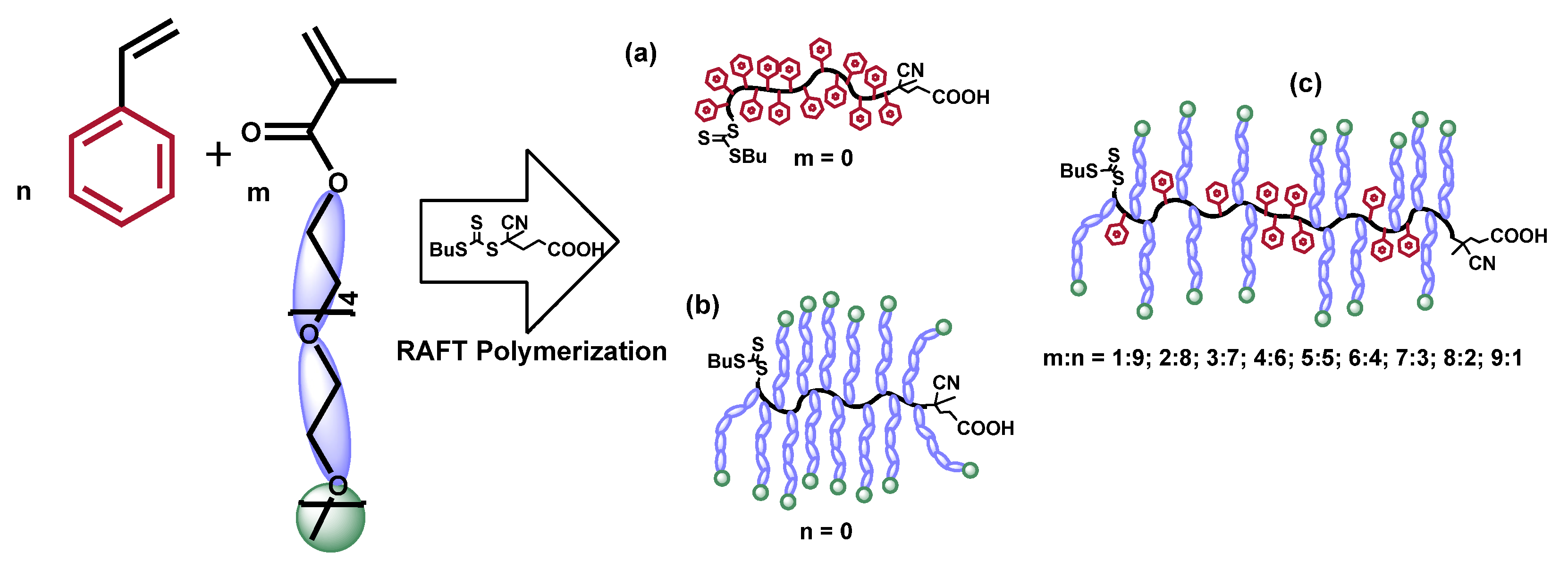Polymers 14 00229 g001