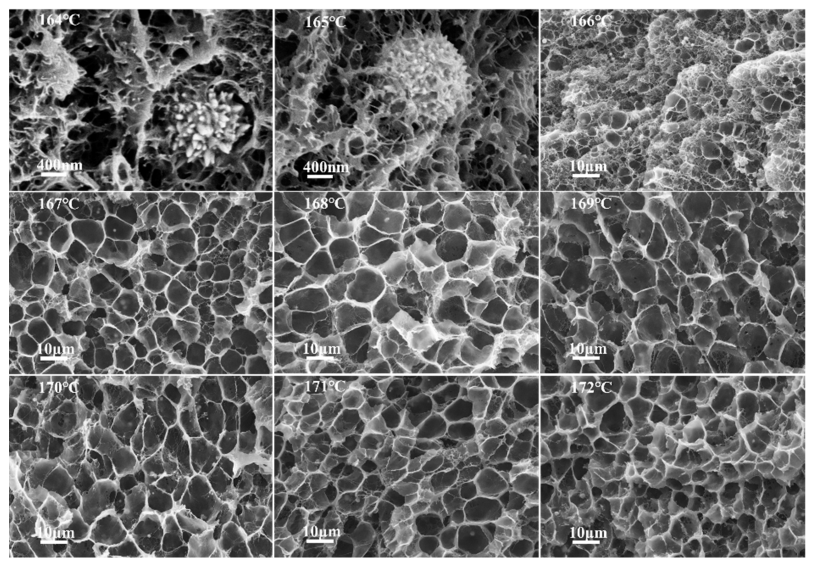 Polymers 14 00234 g004 Polymers 14 00234 g004