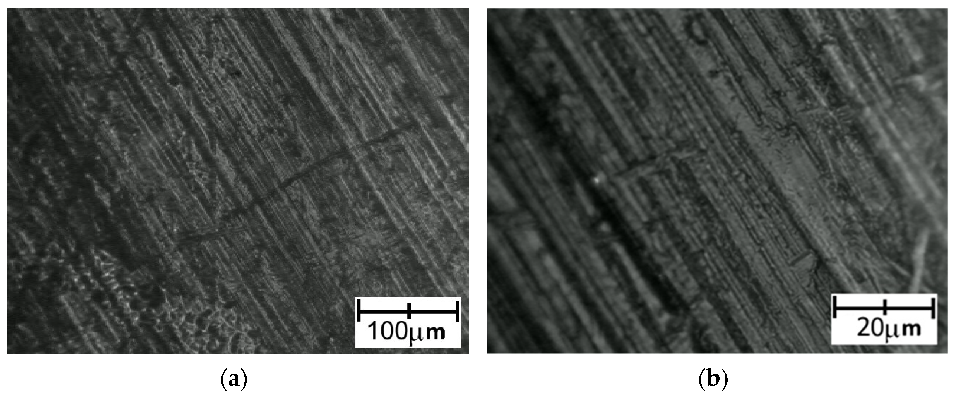 Polymers 14 00235 g022 Polymers 14 00235 g022