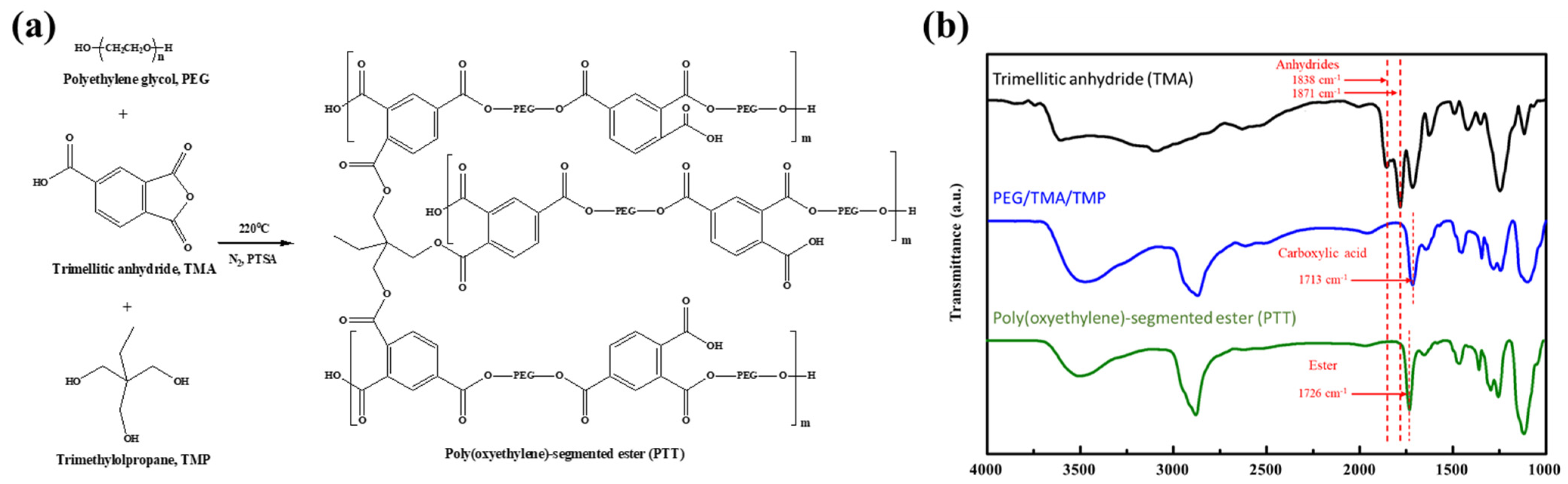 Polymers 14 00237 g001