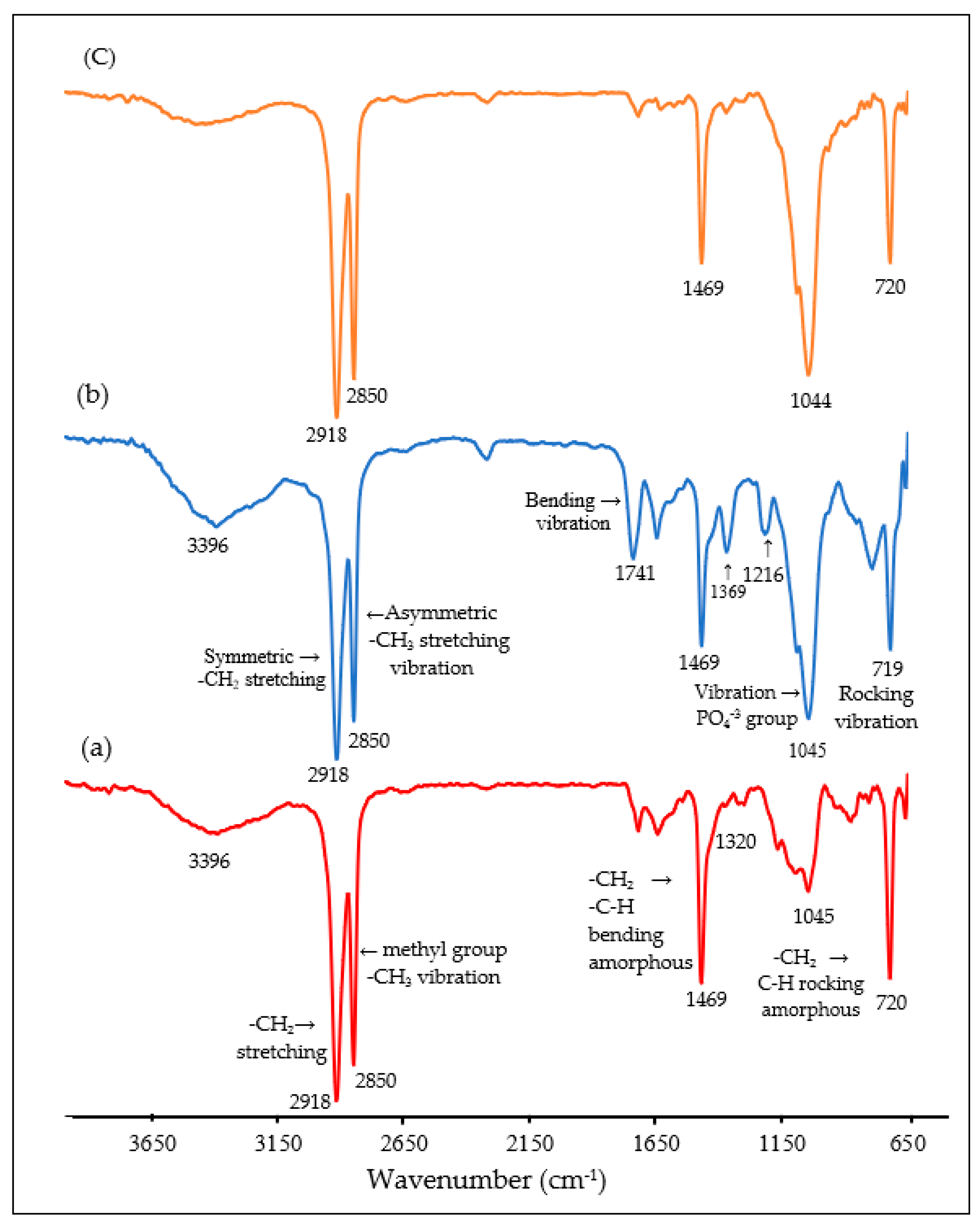 Polymers 14 00251 g002