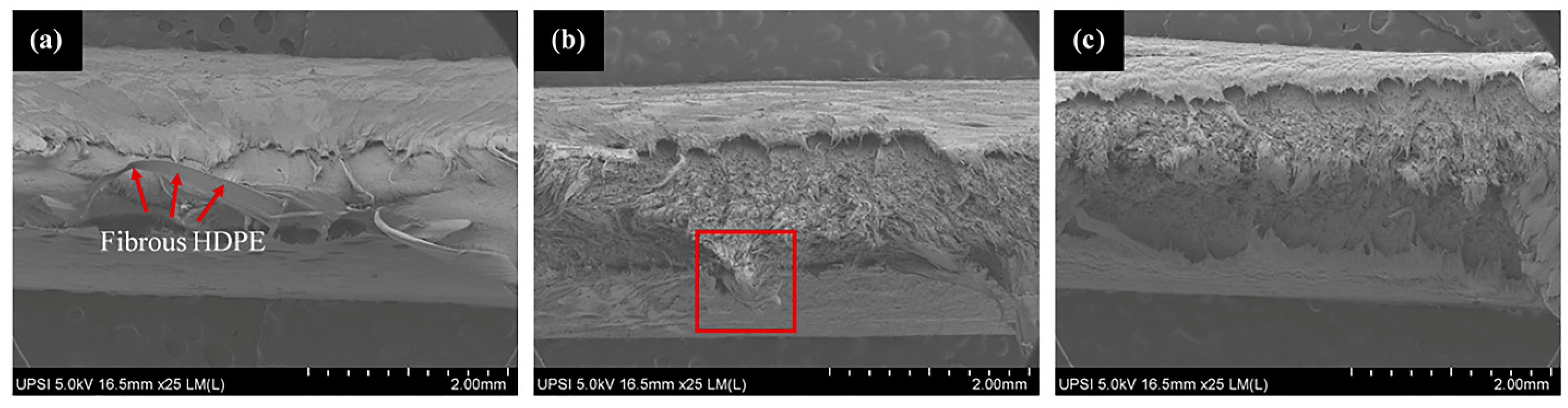 Polymers 14 00251 g006