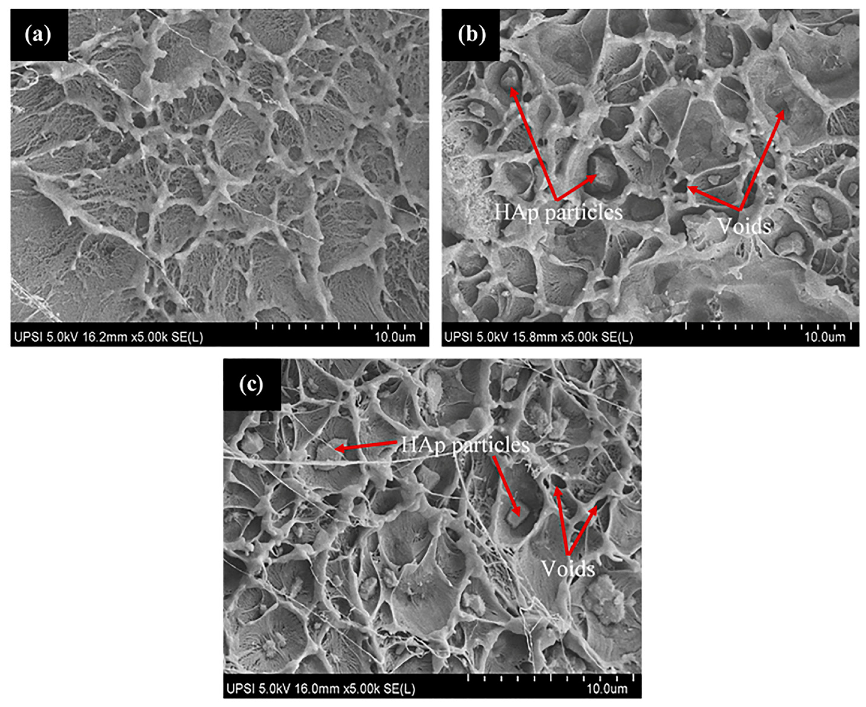 Polymers 14 00251 g009