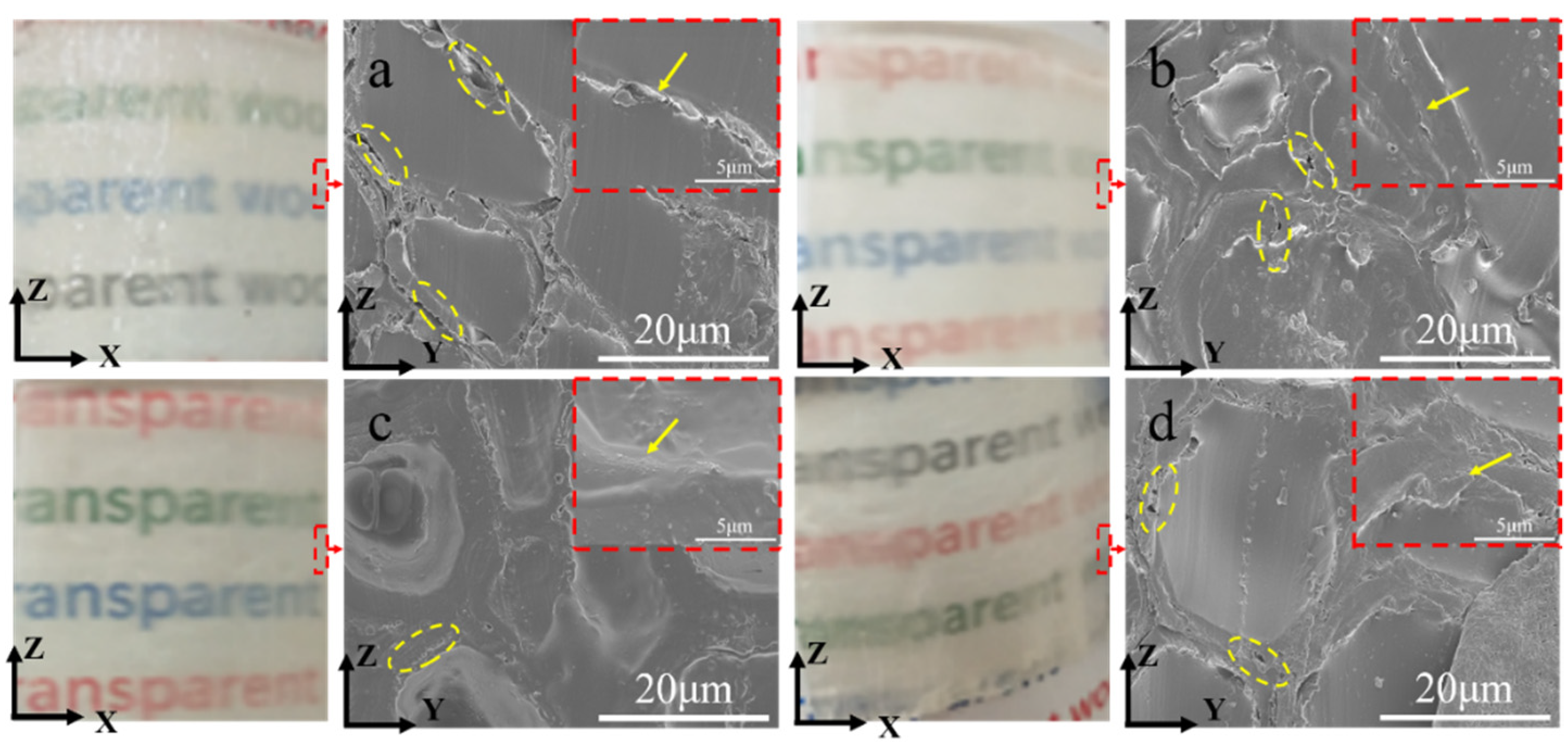 Polymers 14 00257 g003