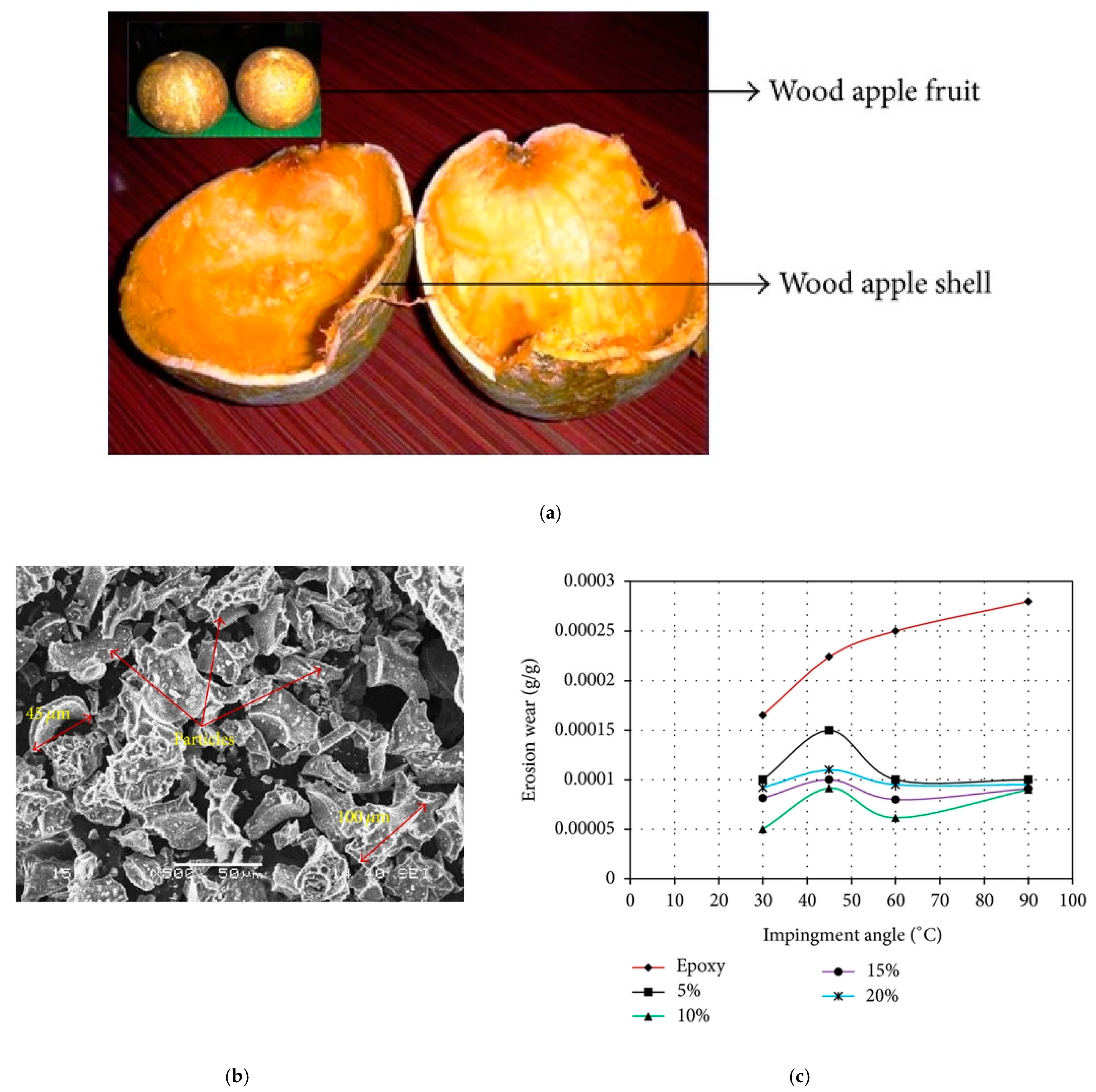 Polymers 14 00265 g005