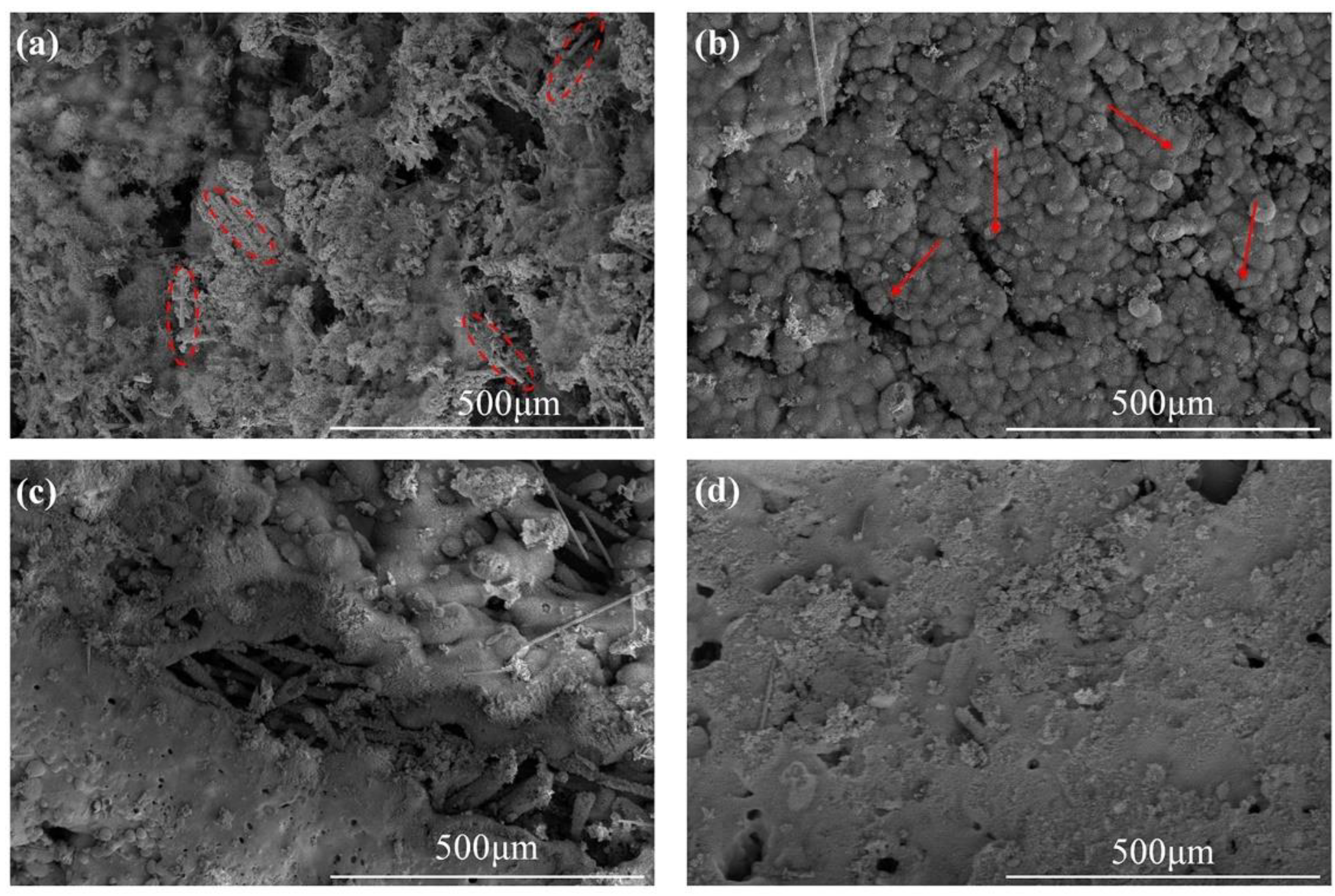 Polymers 14 00268 g007