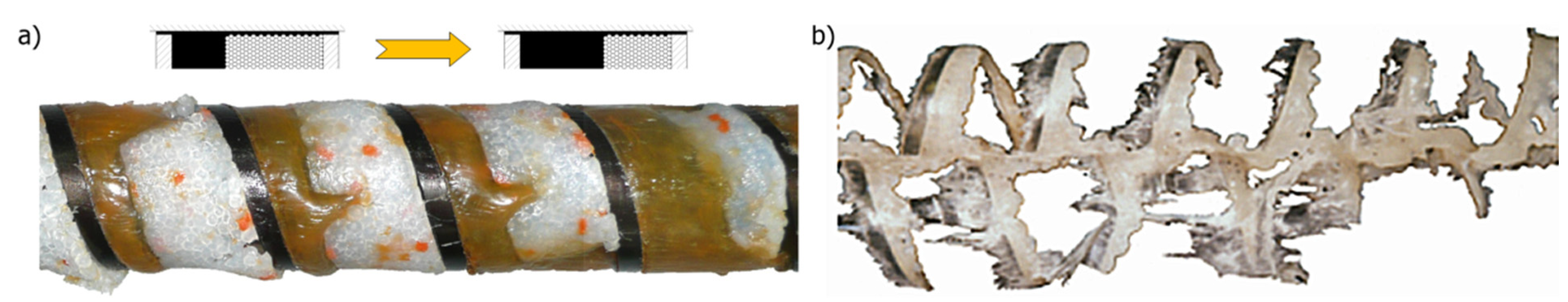 Polymers 14 00274 g003